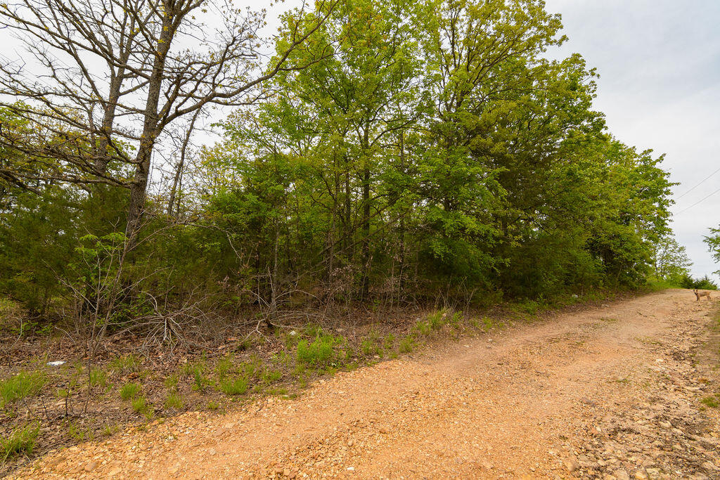 Photo 14 - Land for sale – Tbd  Perch Street  Kissee Mills, MO
