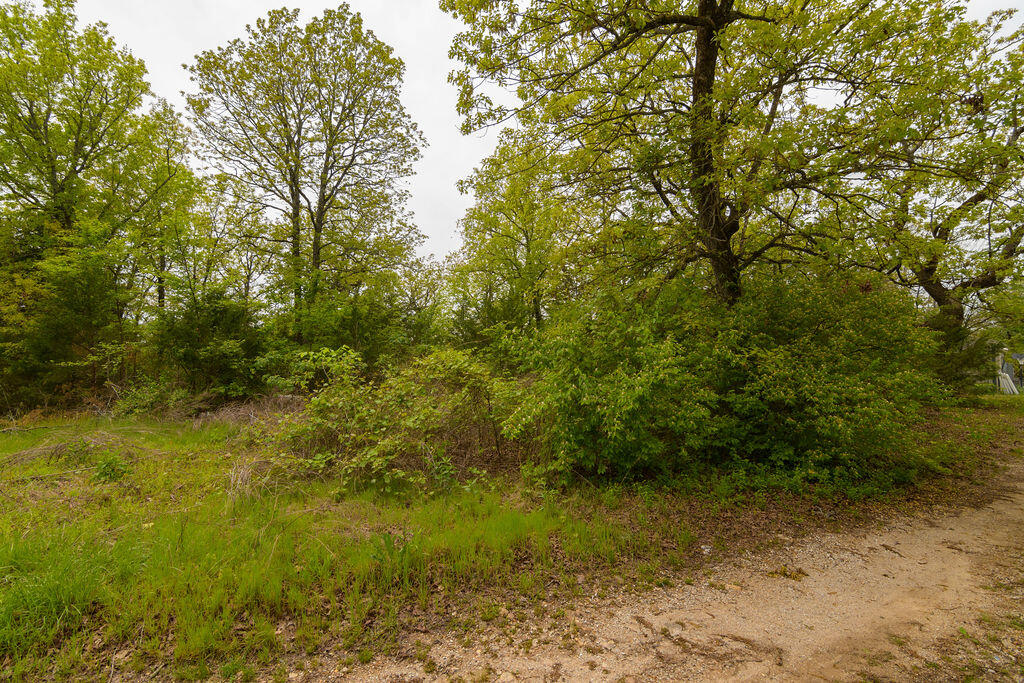 Photo 6 - Land for sale – Tbd  Perch Street  Kissee Mills, MO