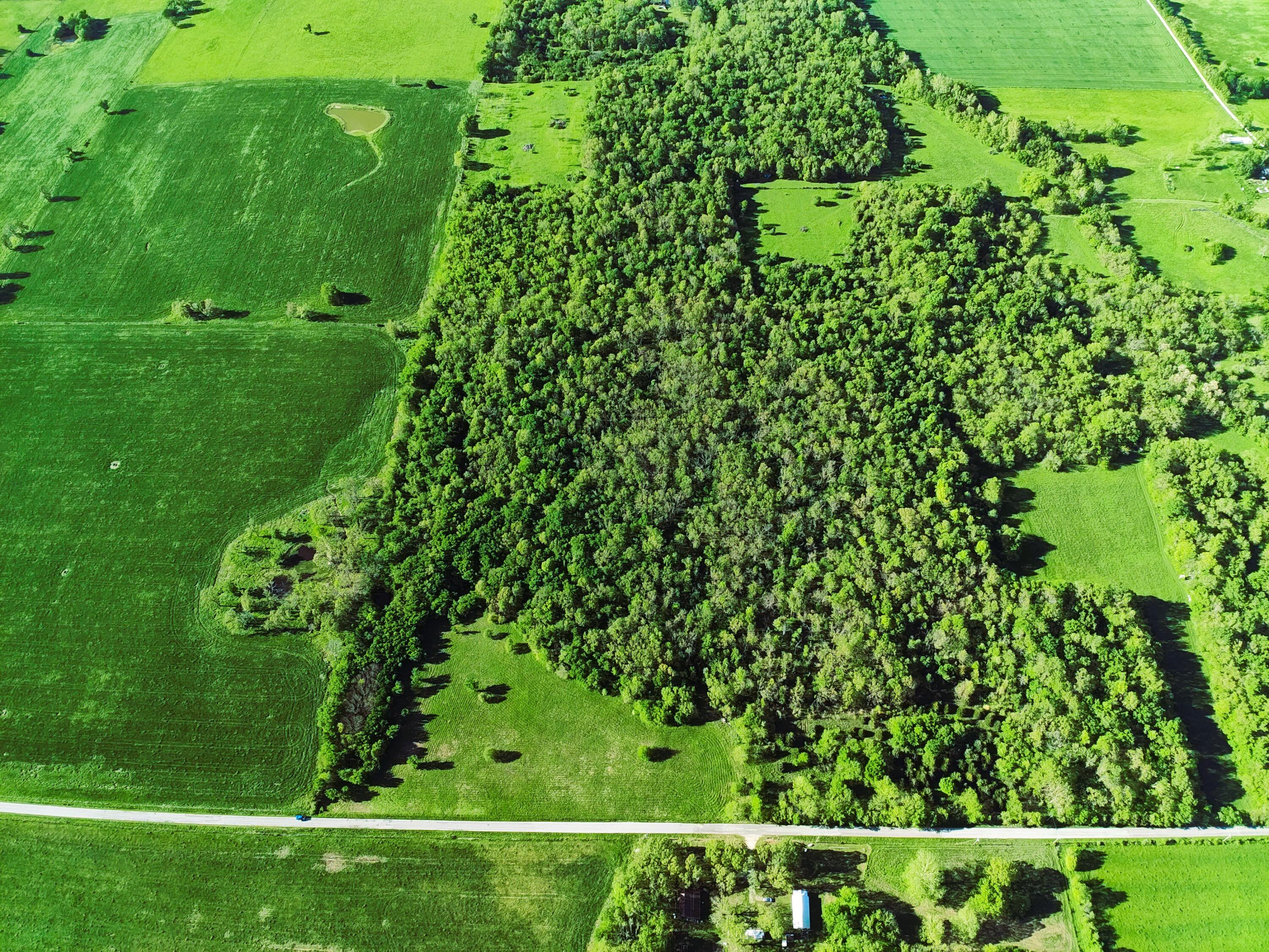 Photo 2 - Land for sale – Tbd  Lawrence 2190   Pierce City, MO
