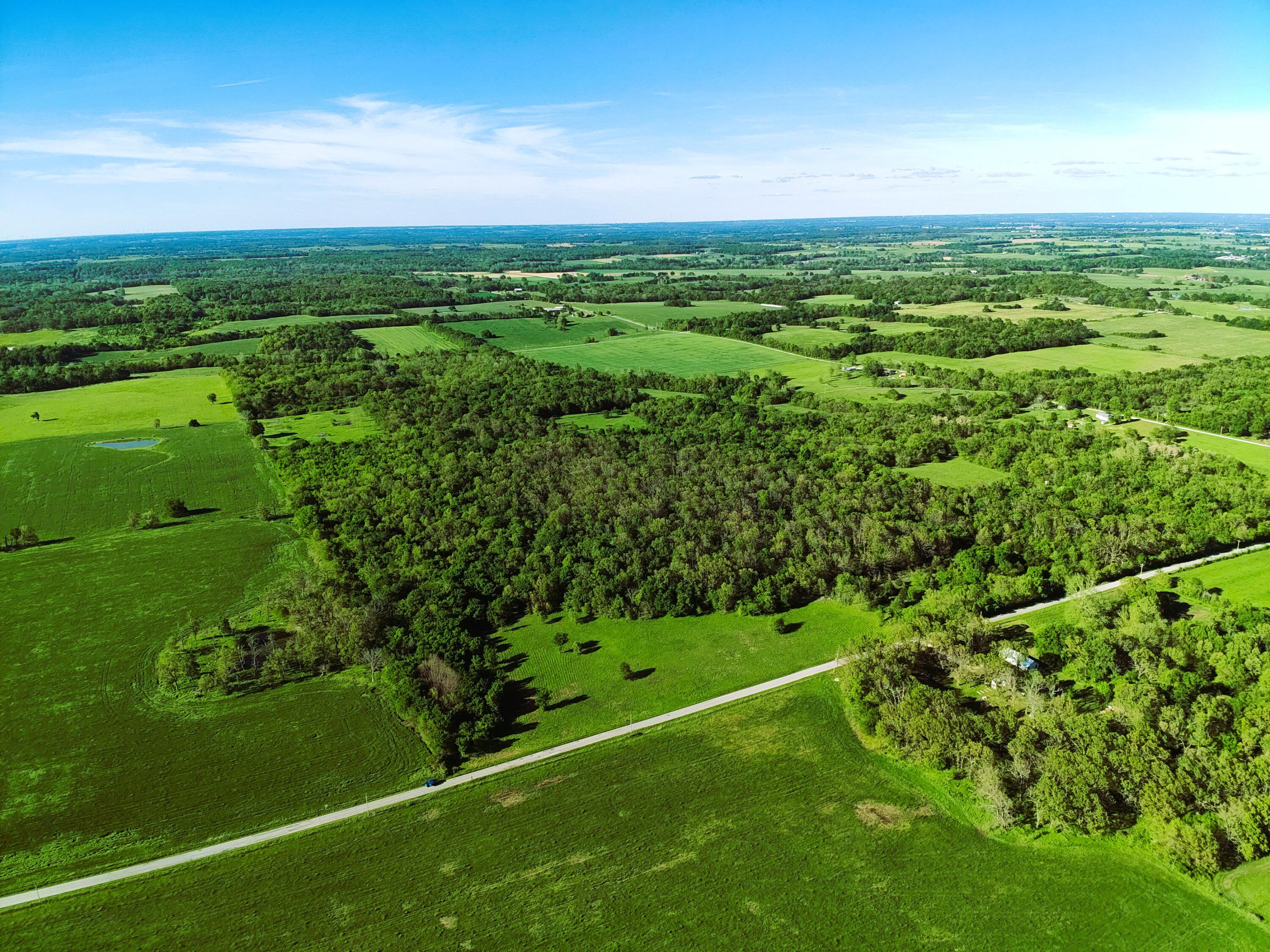 Photo 3 - Land for sale – Tbd  Lawrence 2190   Pierce City, MO