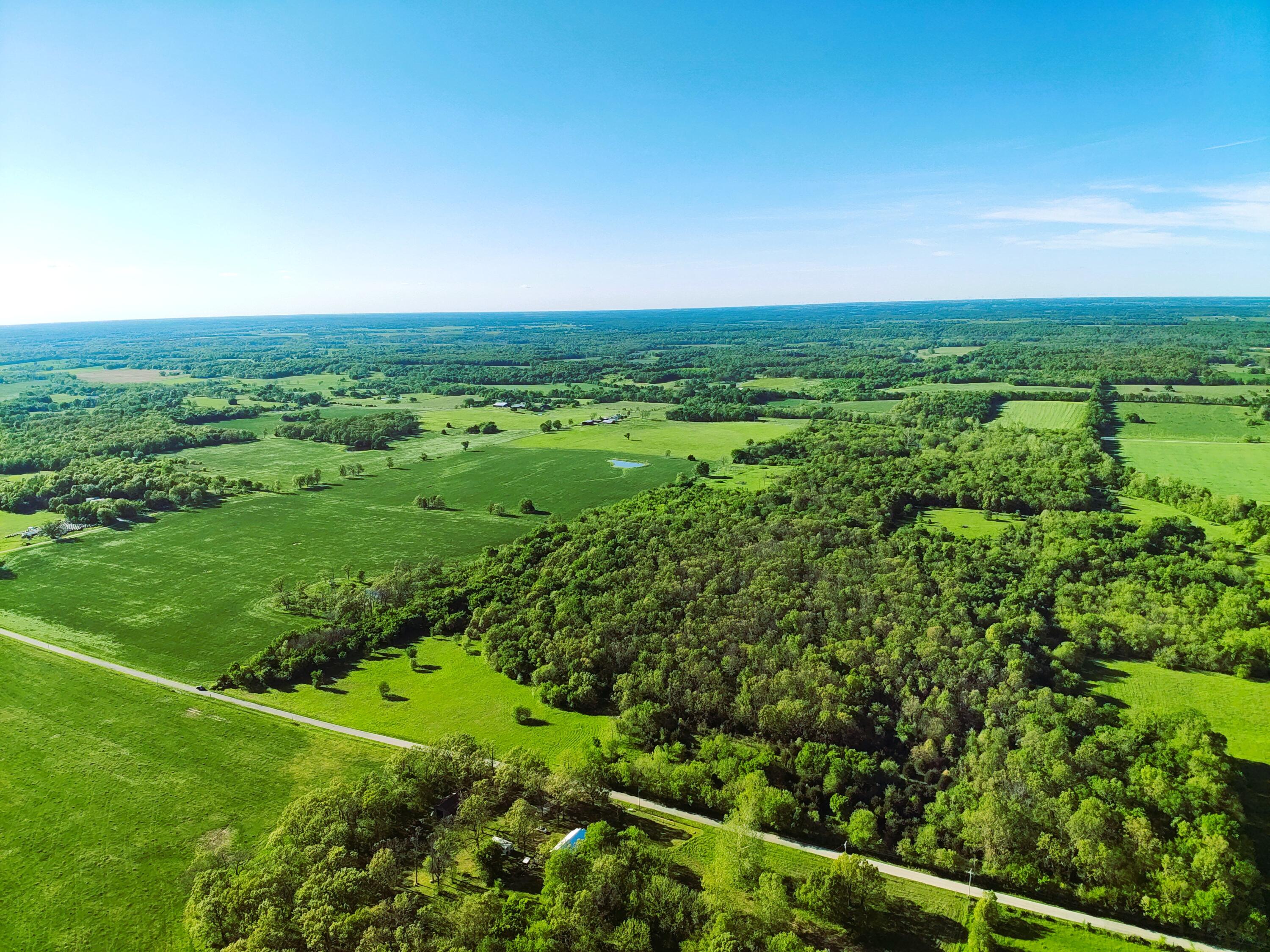Photo 4 - Land for sale – Tbd  Lawrence 2190   Pierce City, MO