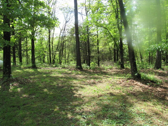 Photo 38 - Residential for sale – 7210  Newkirk Road  Mountain Grove, MO