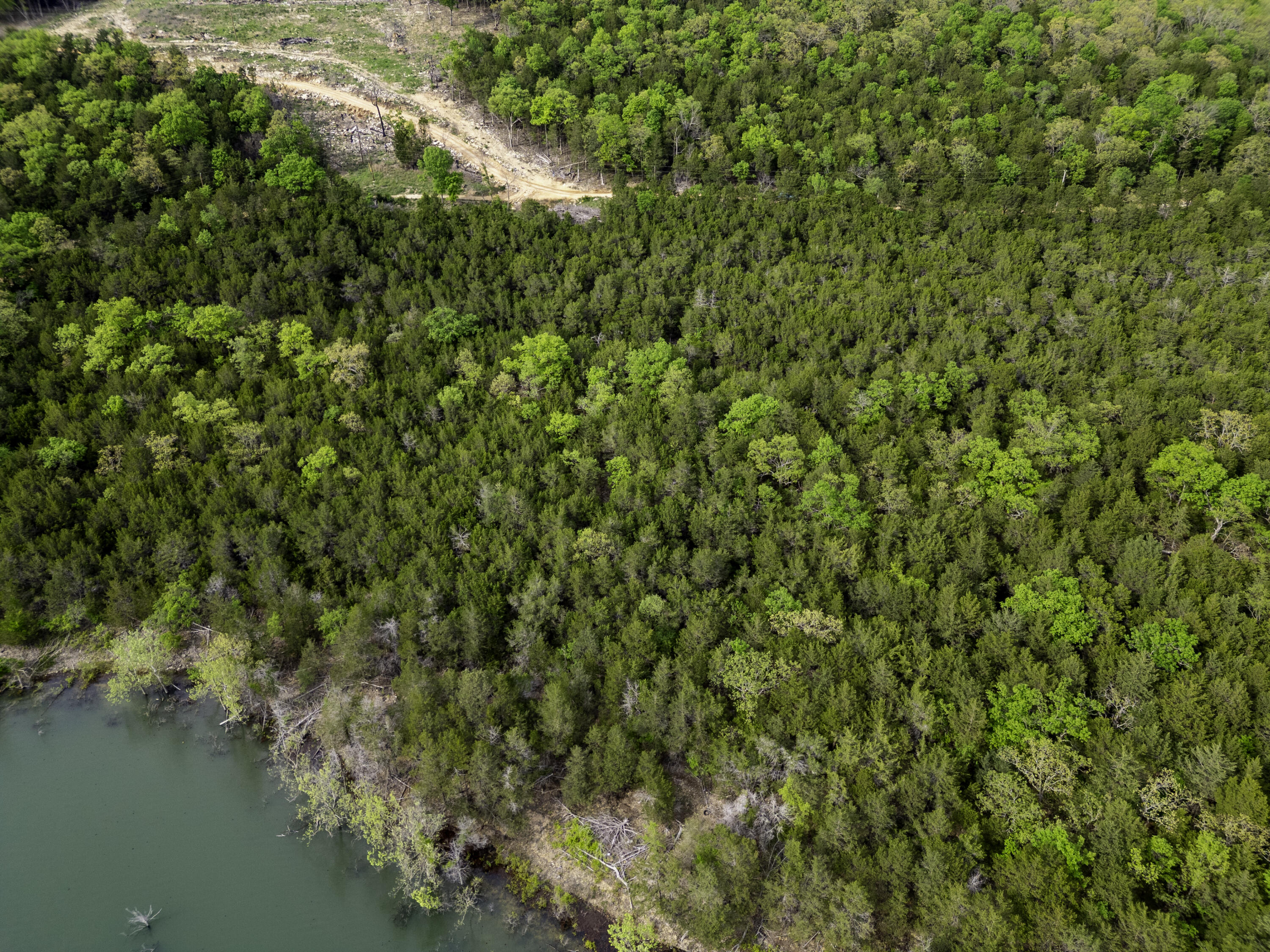 Photo 5 - Land for sale – 000  Bobcat Ridge Rd.   Shell Knob, MO