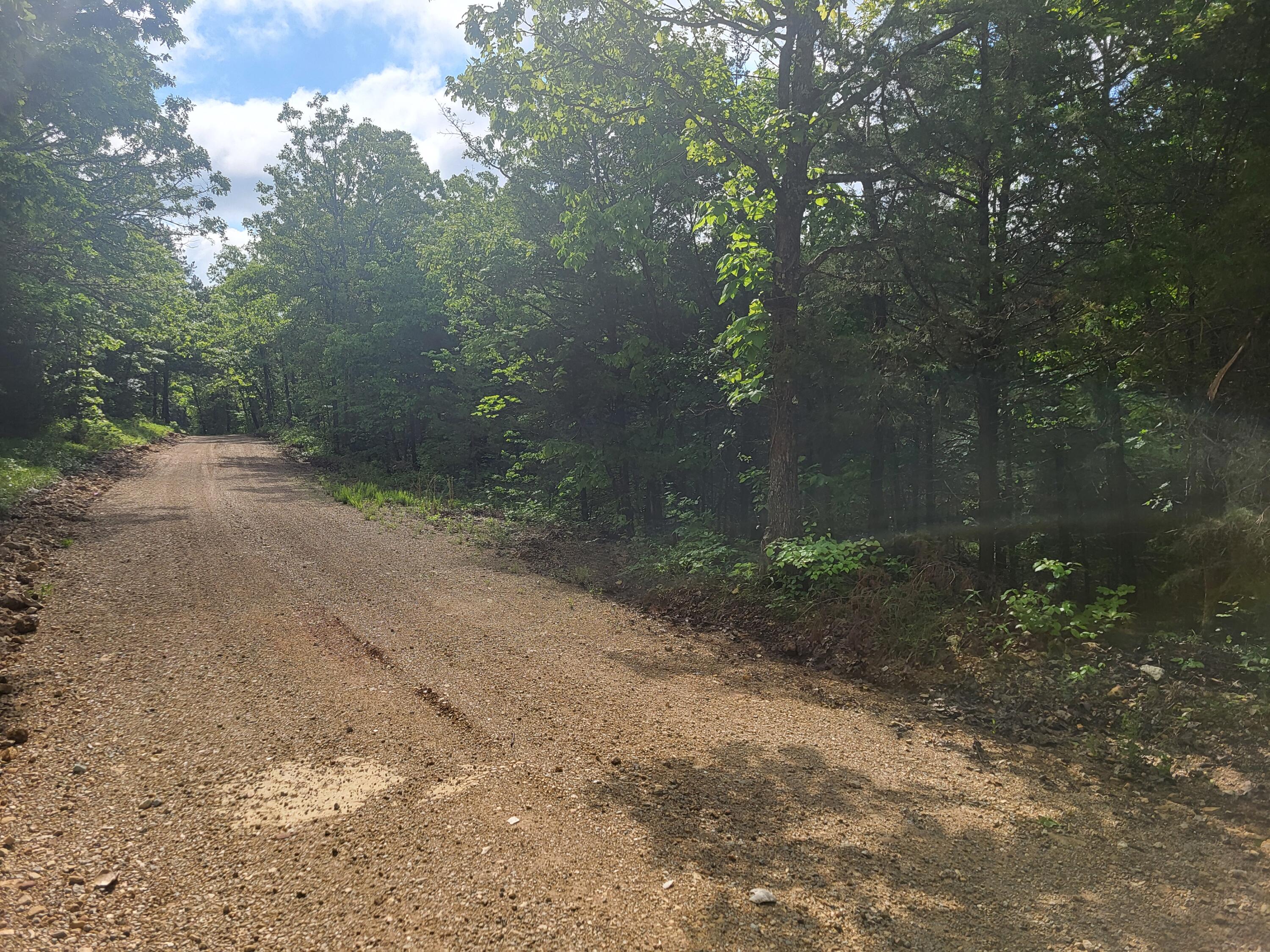 Photo 11 - Land for sale – 000  County Road  511   Gainesville, MO