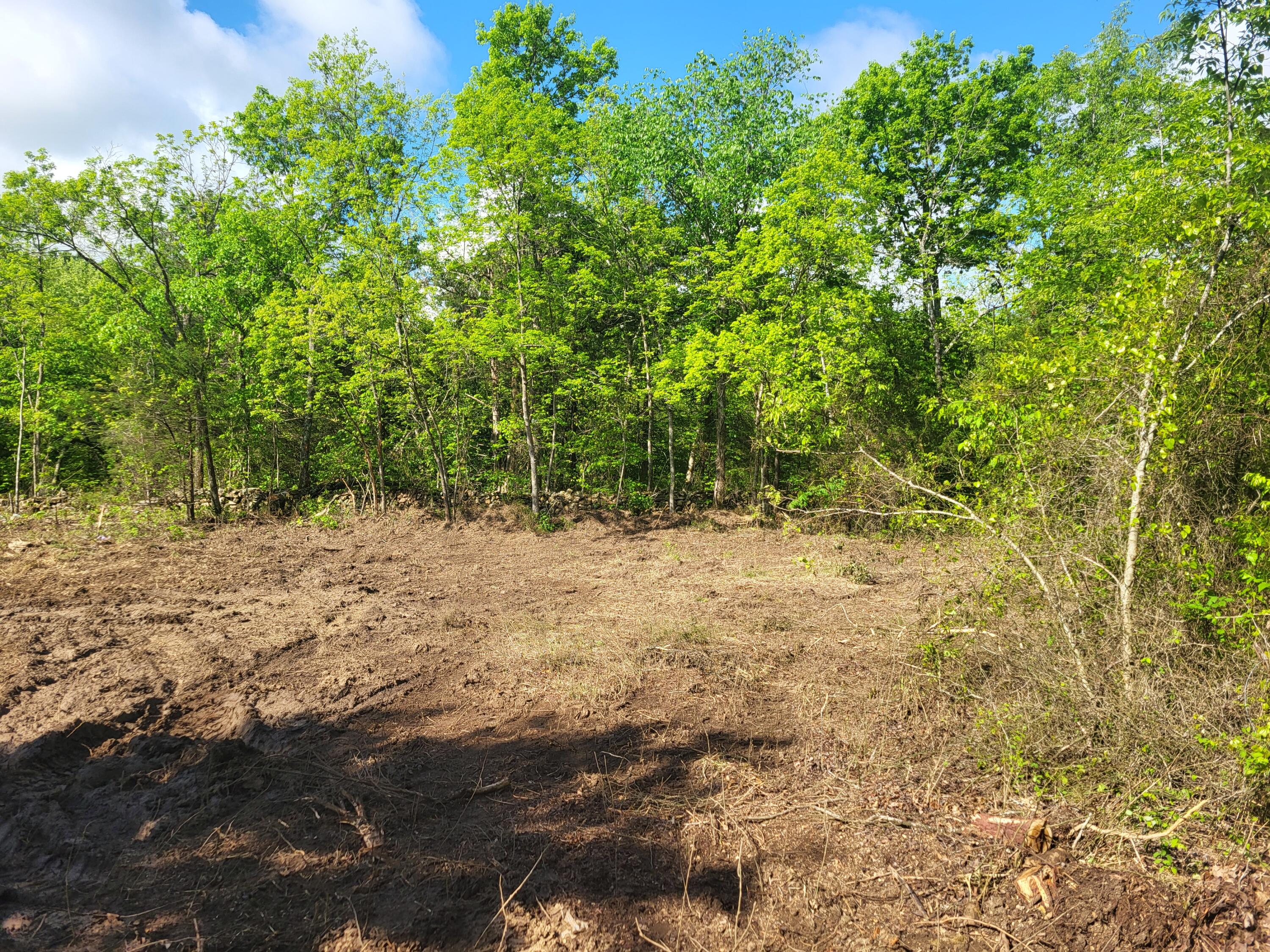 Photo 13 - Land for sale – 000  County Road  511   Gainesville, MO