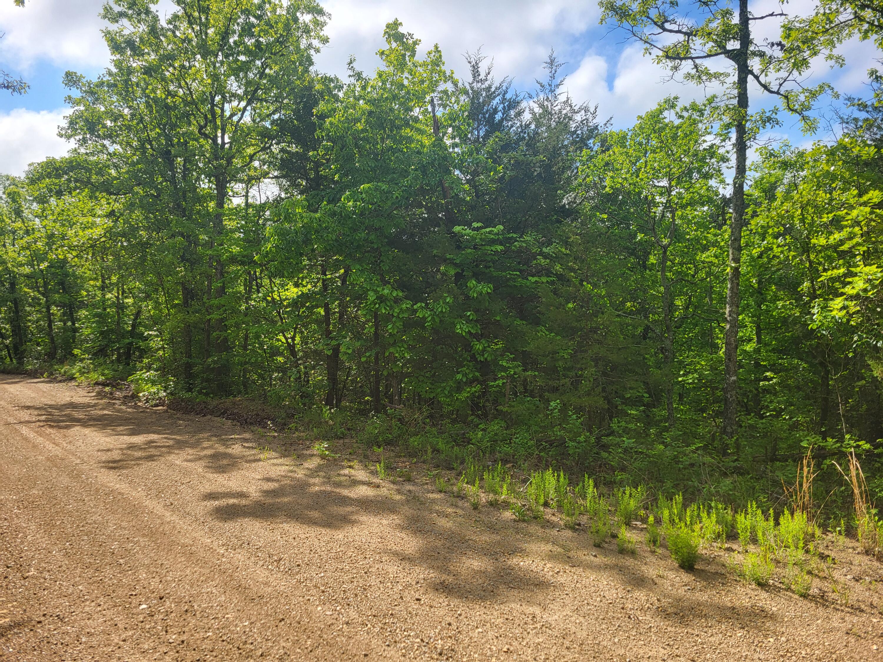 Photo 12 - Land for sale – 000  County Road  511   Gainesville, MO