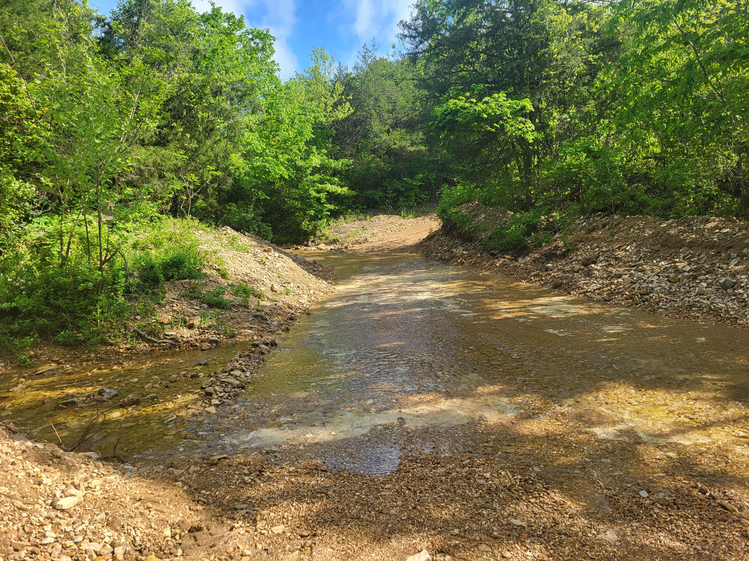 Photo 3 - Land for sale – 000  County Road  511   Gainesville, MO
