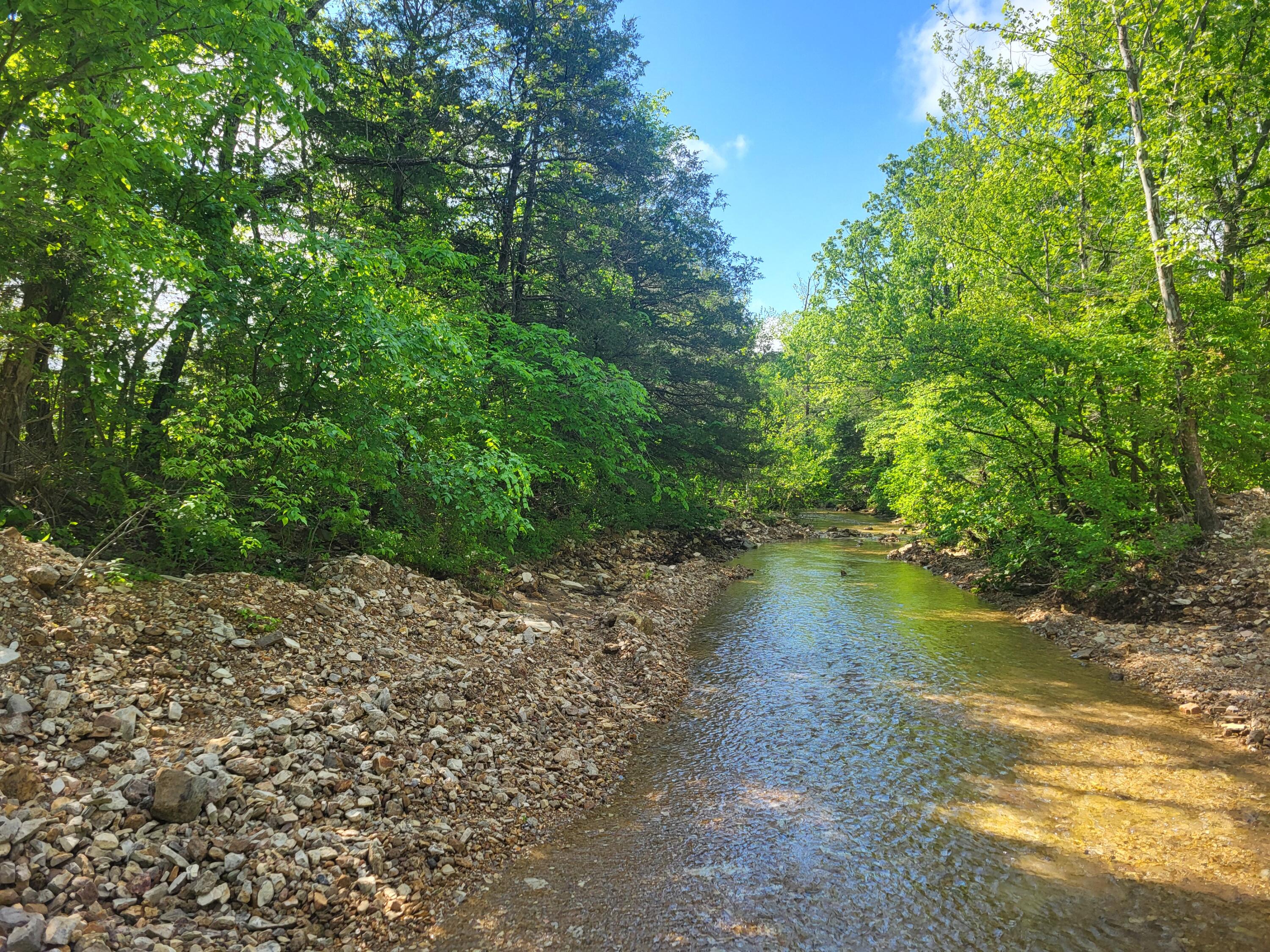 Photo 2 - Land for sale – 000  County Road  511   Gainesville, MO