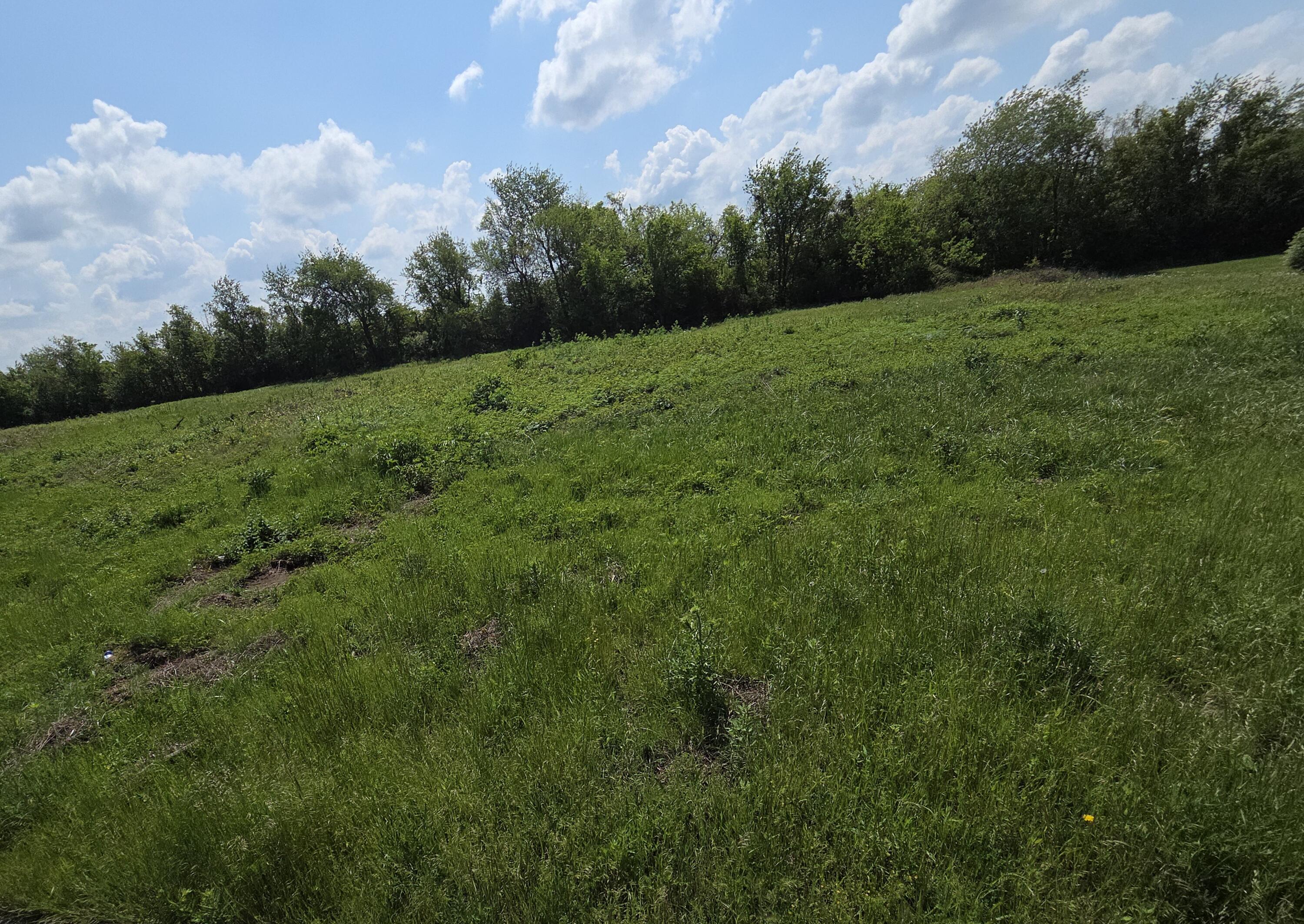 Land for sale – 970 N Autin Lane Republic, MO
