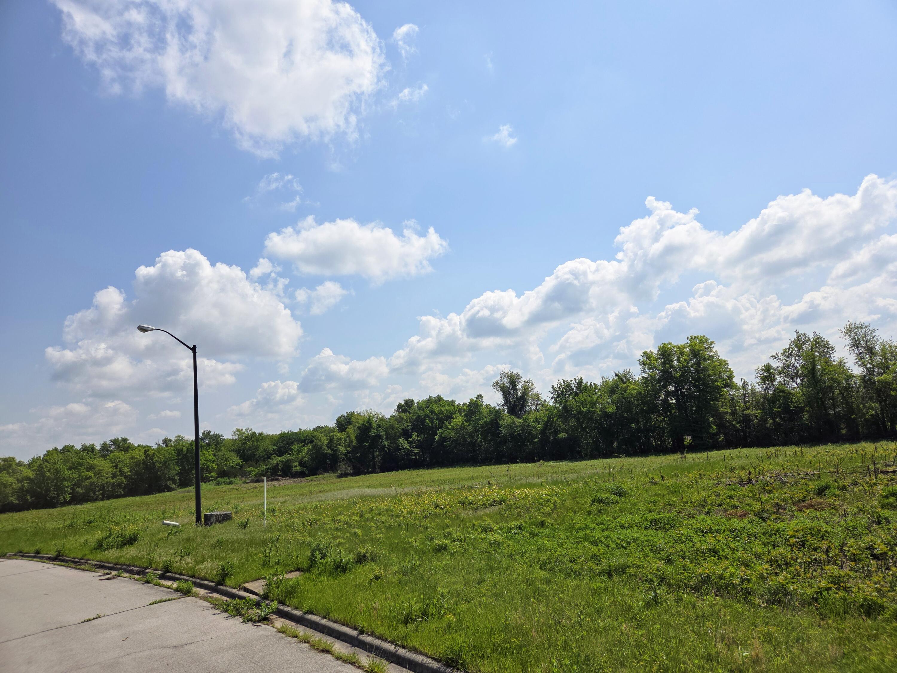 Land for sale – 1020 N Austin Lane Republic, MO