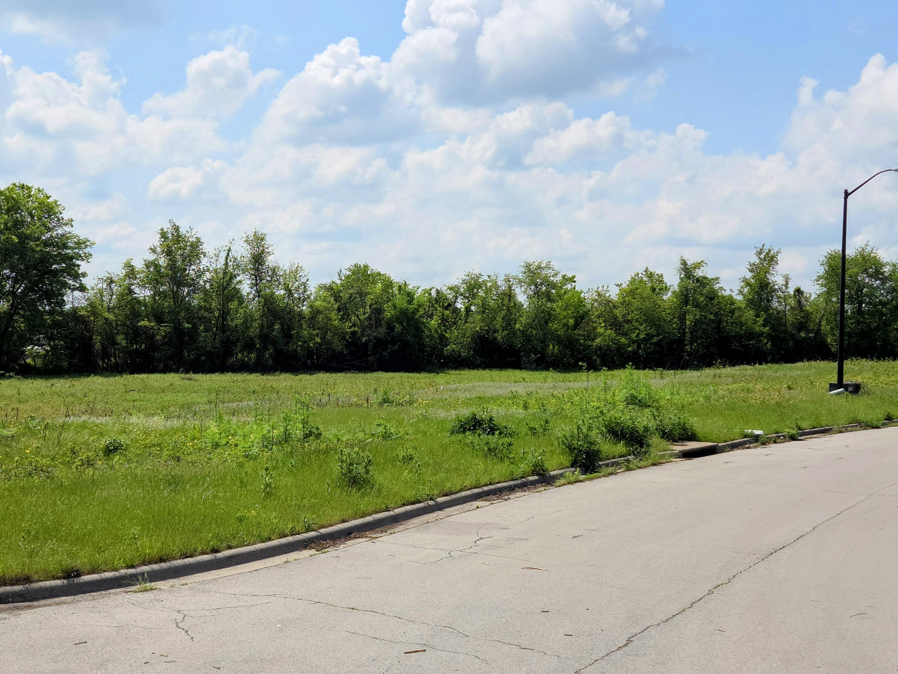 Photo 3 - Land for sale – 1020 N Austin Lane  Republic, MO