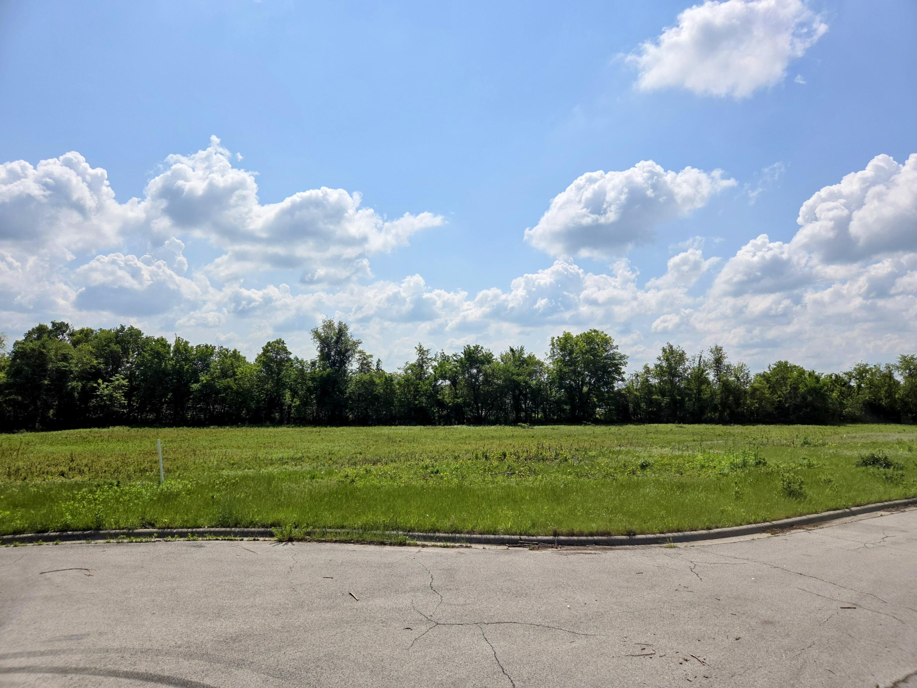 Photo 2 - Land for sale – 1020 N Austin Lane  Republic, MO