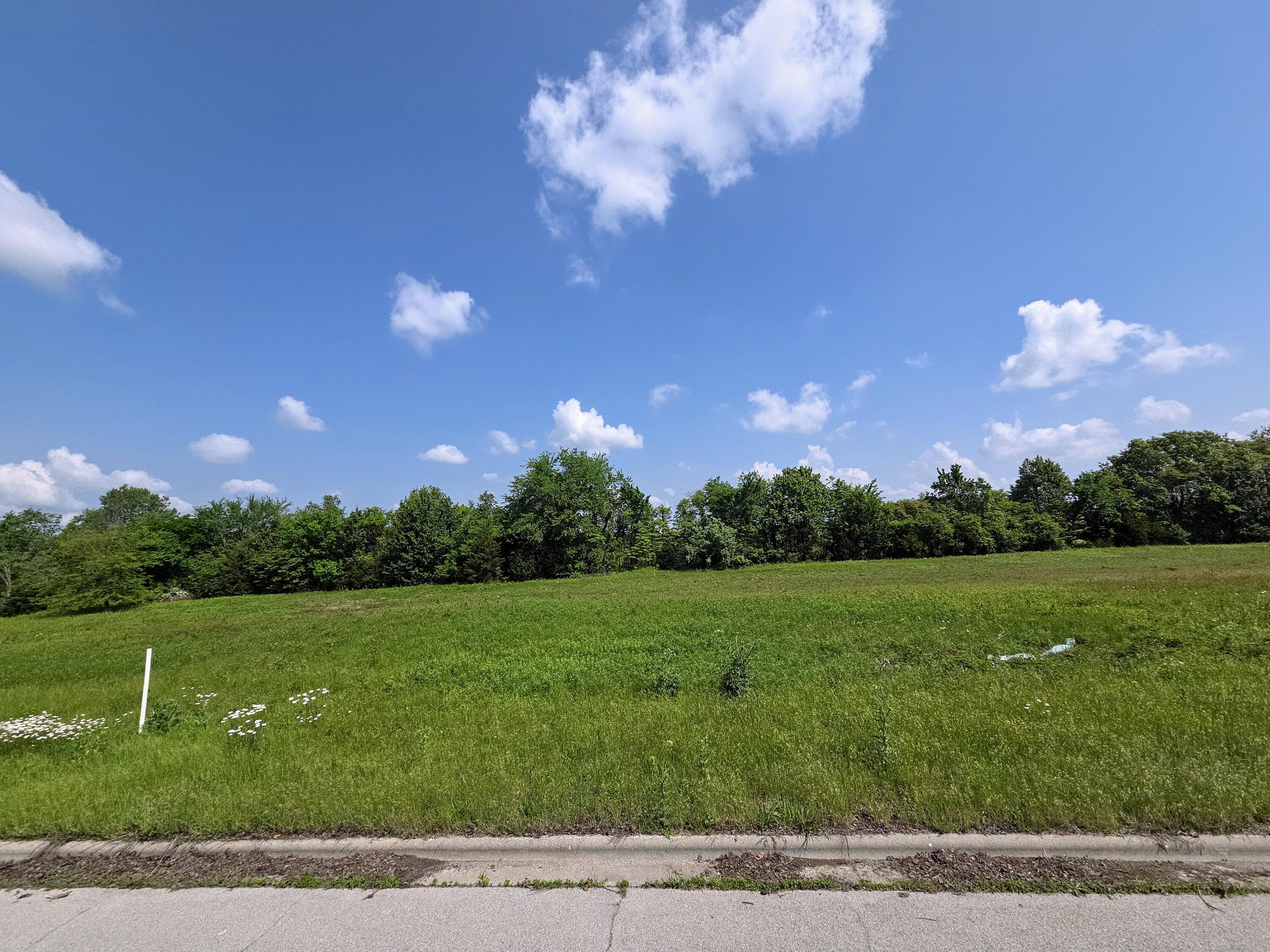 Photo 3 - Land for sale – 845 E Colter Drive  Republic, MO