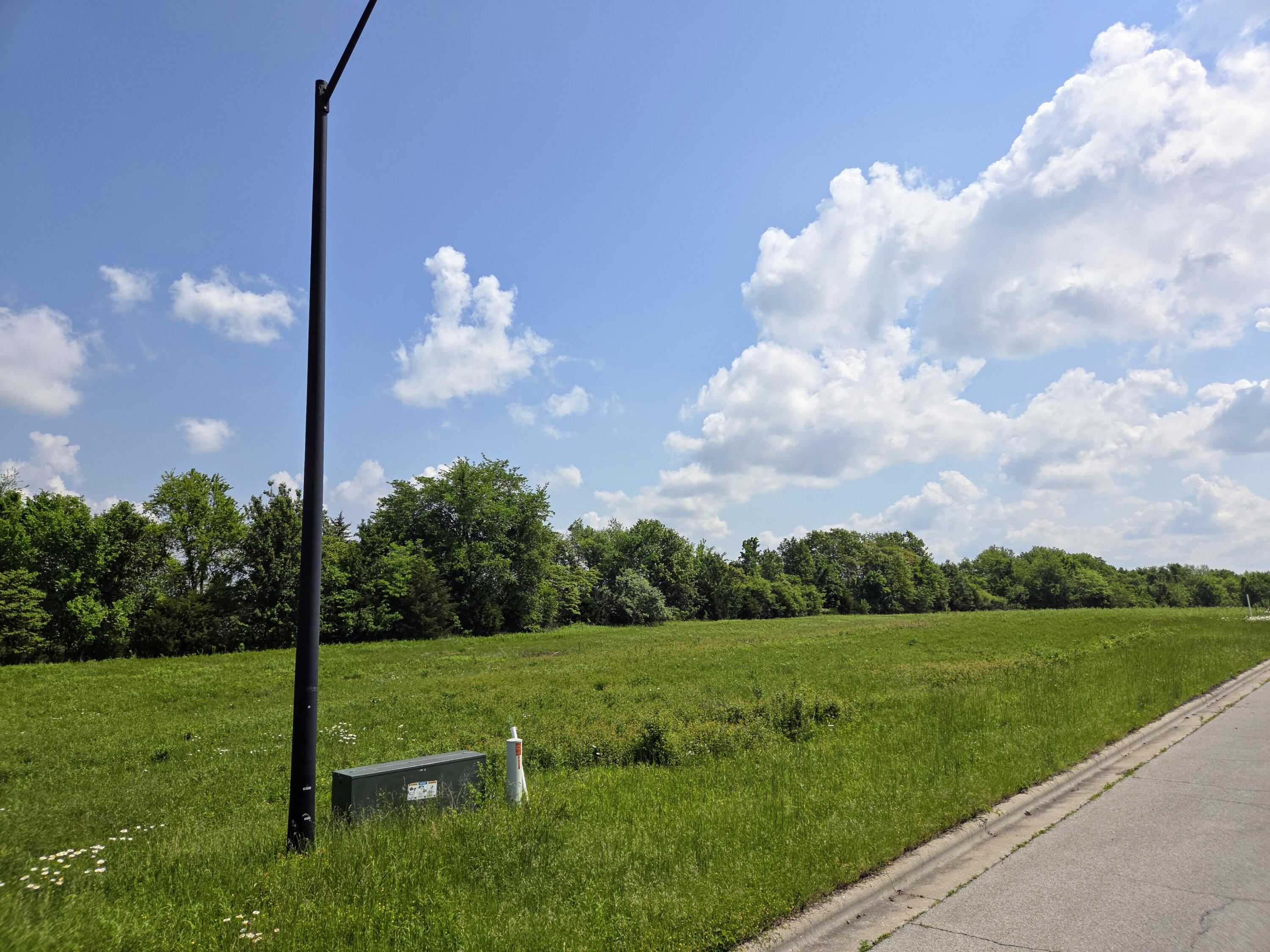 Photo 2 - Land for sale – 825 E Colter Drive  Republic, MO