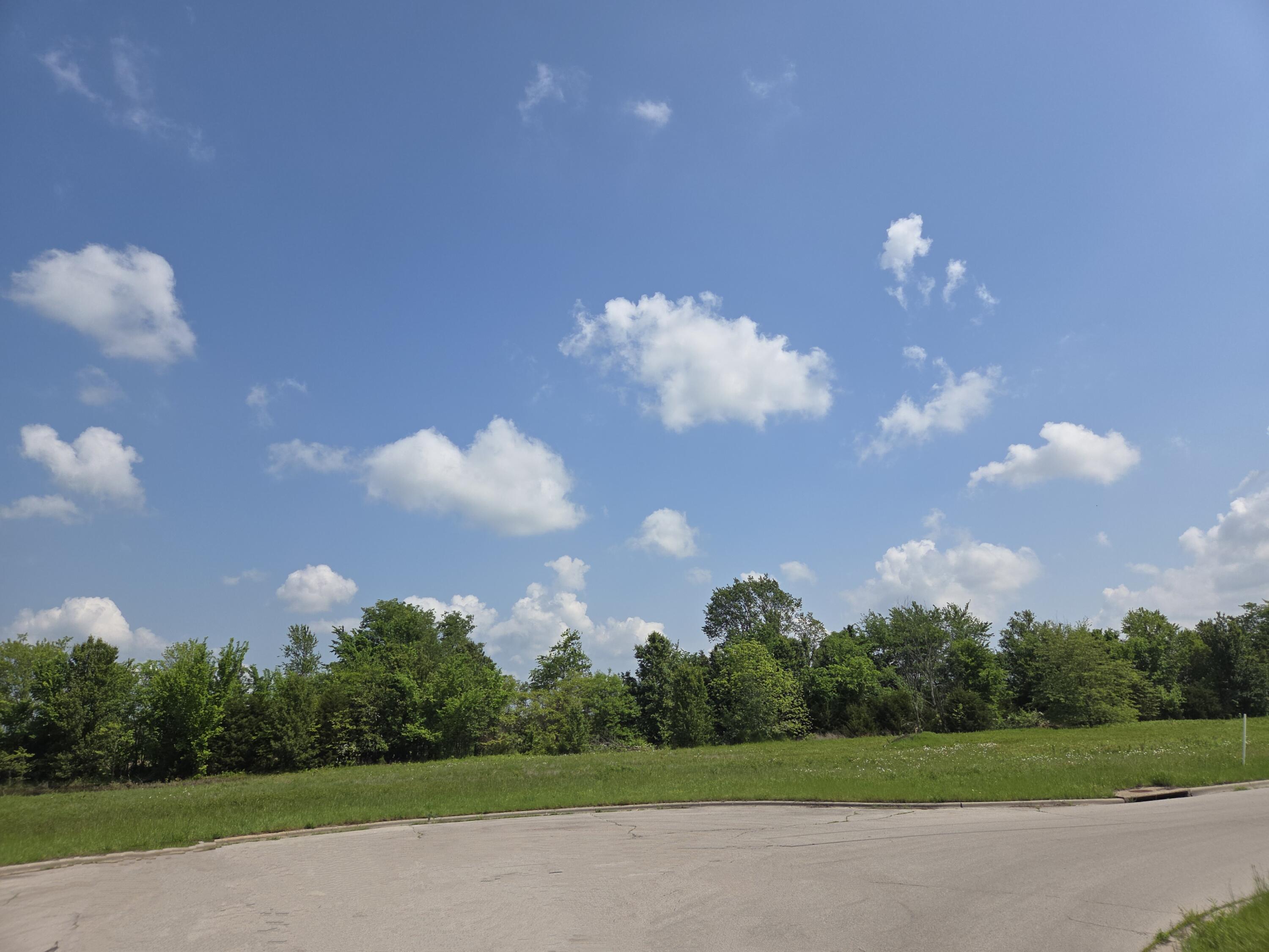 Land for sale – 1030 N Lindsey Avenue Republic, MO