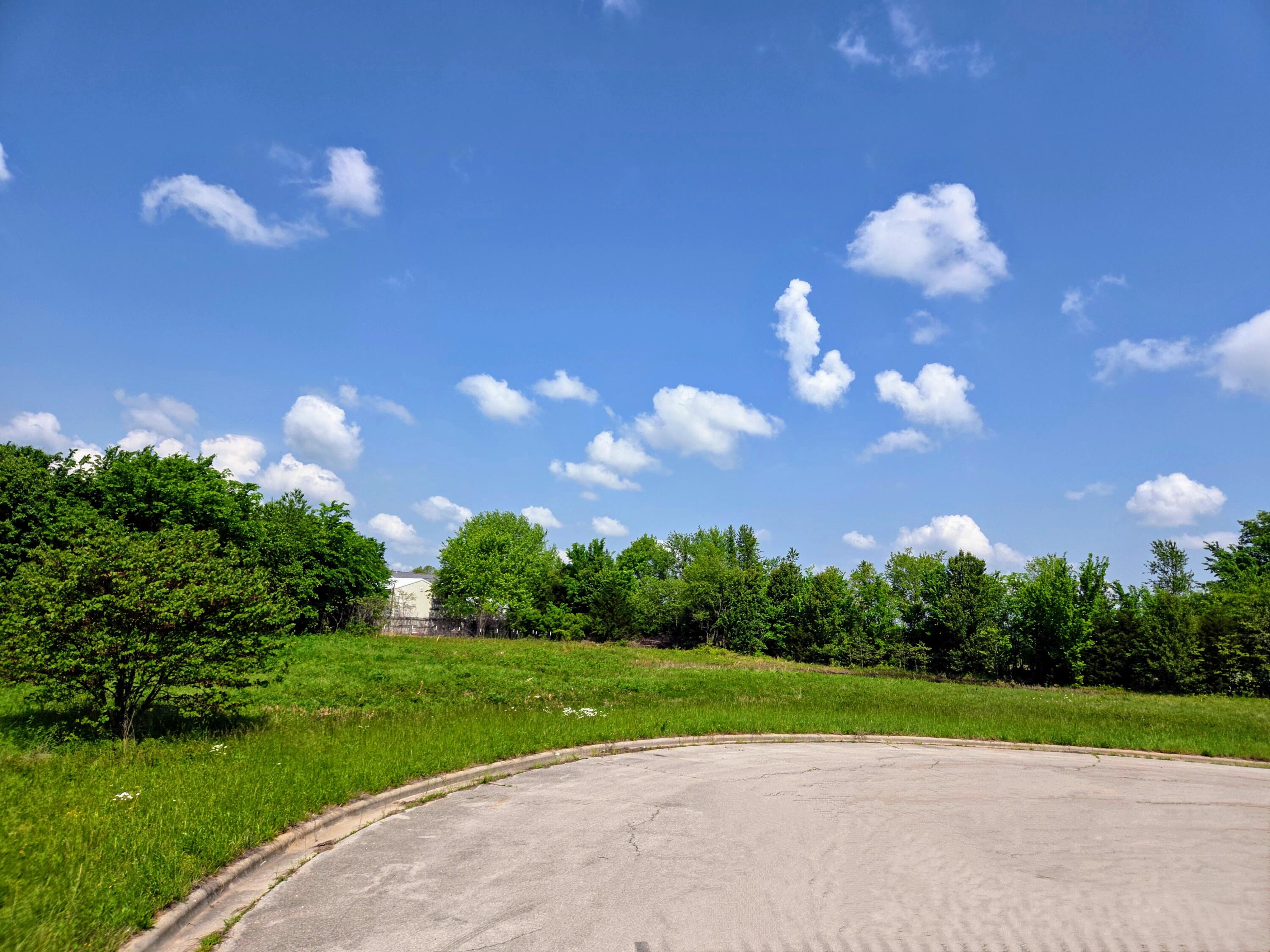 Photo 2 - Land for sale – 1030 N Lindsey Avenue  Republic, MO