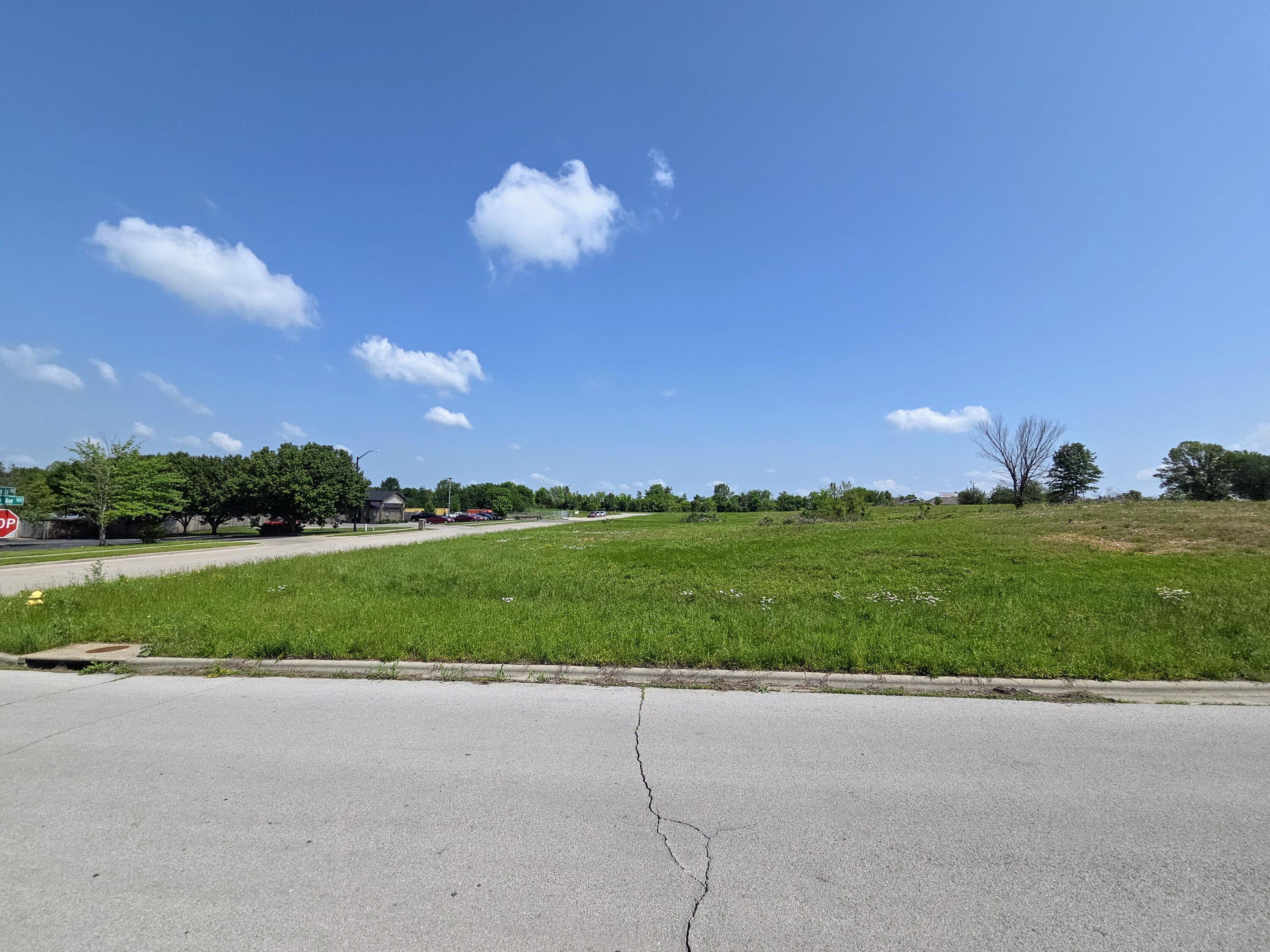 Photo 2 - Land for sale – 960 N Lindsey Avenue  Republic, MO