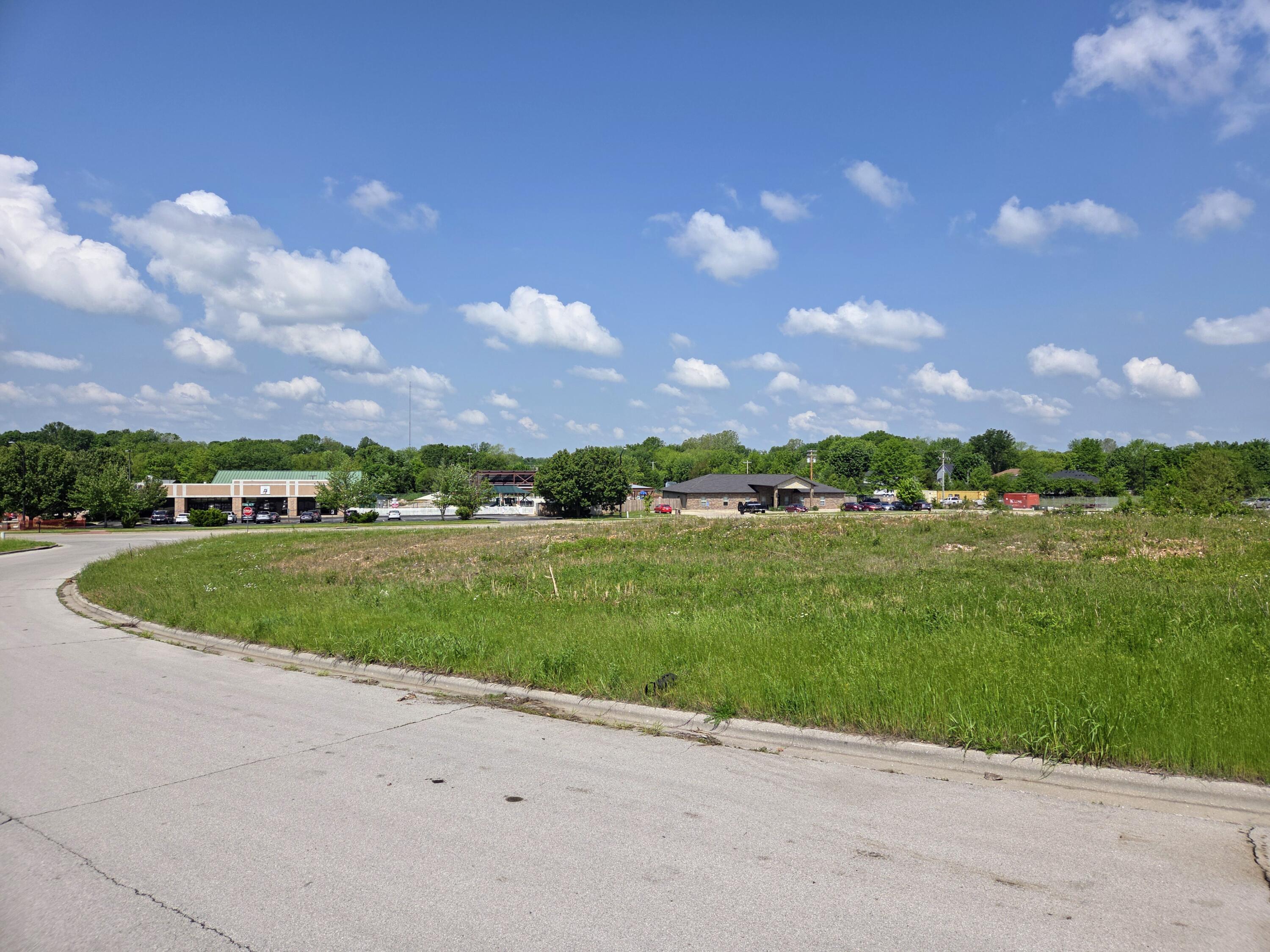 Photo 4 - Land for sale – 960 N Lindsey Avenue  Republic, MO