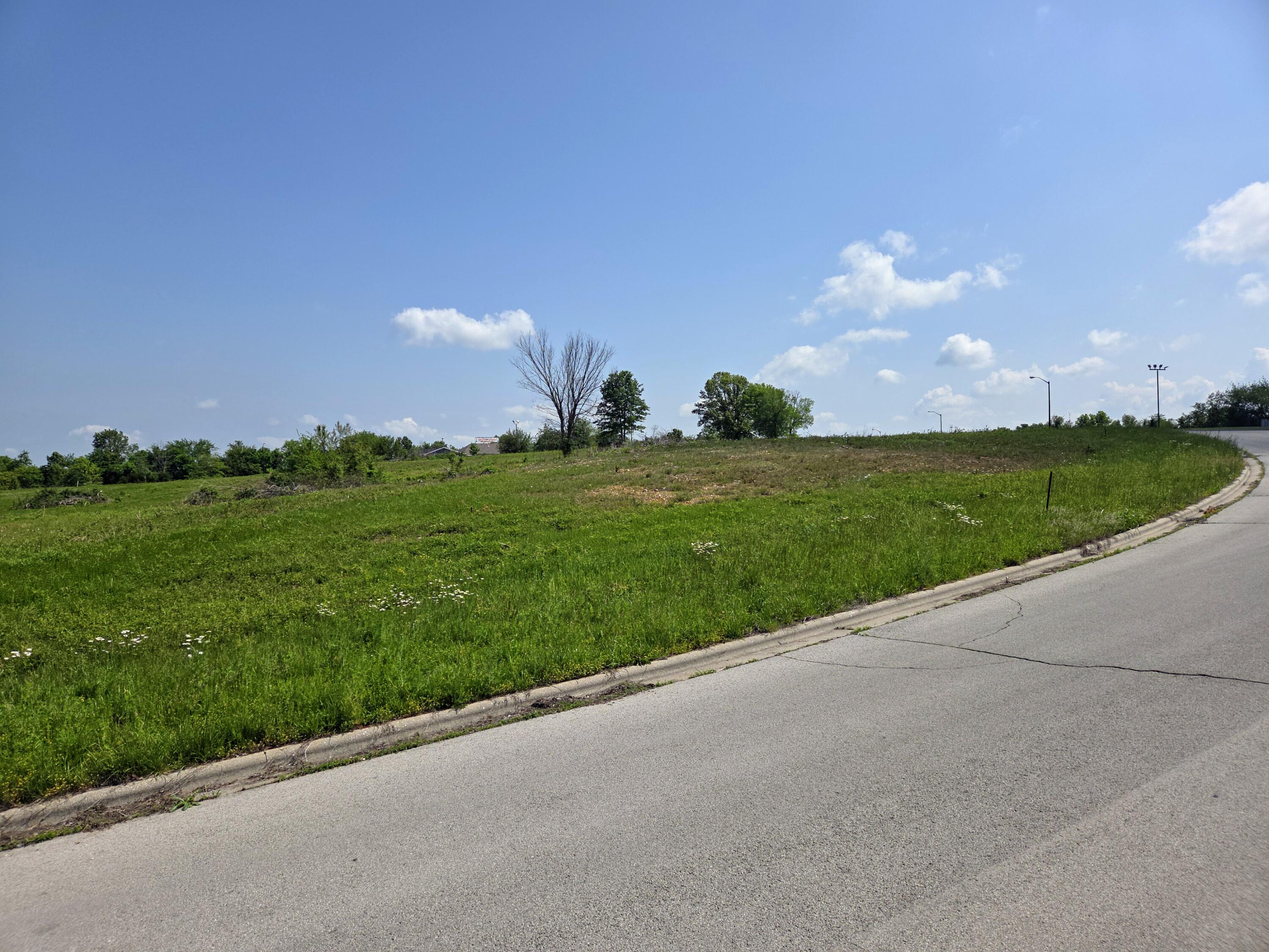 Photo 3 - Land for sale – 960 N Lindsey Avenue  Republic, MO