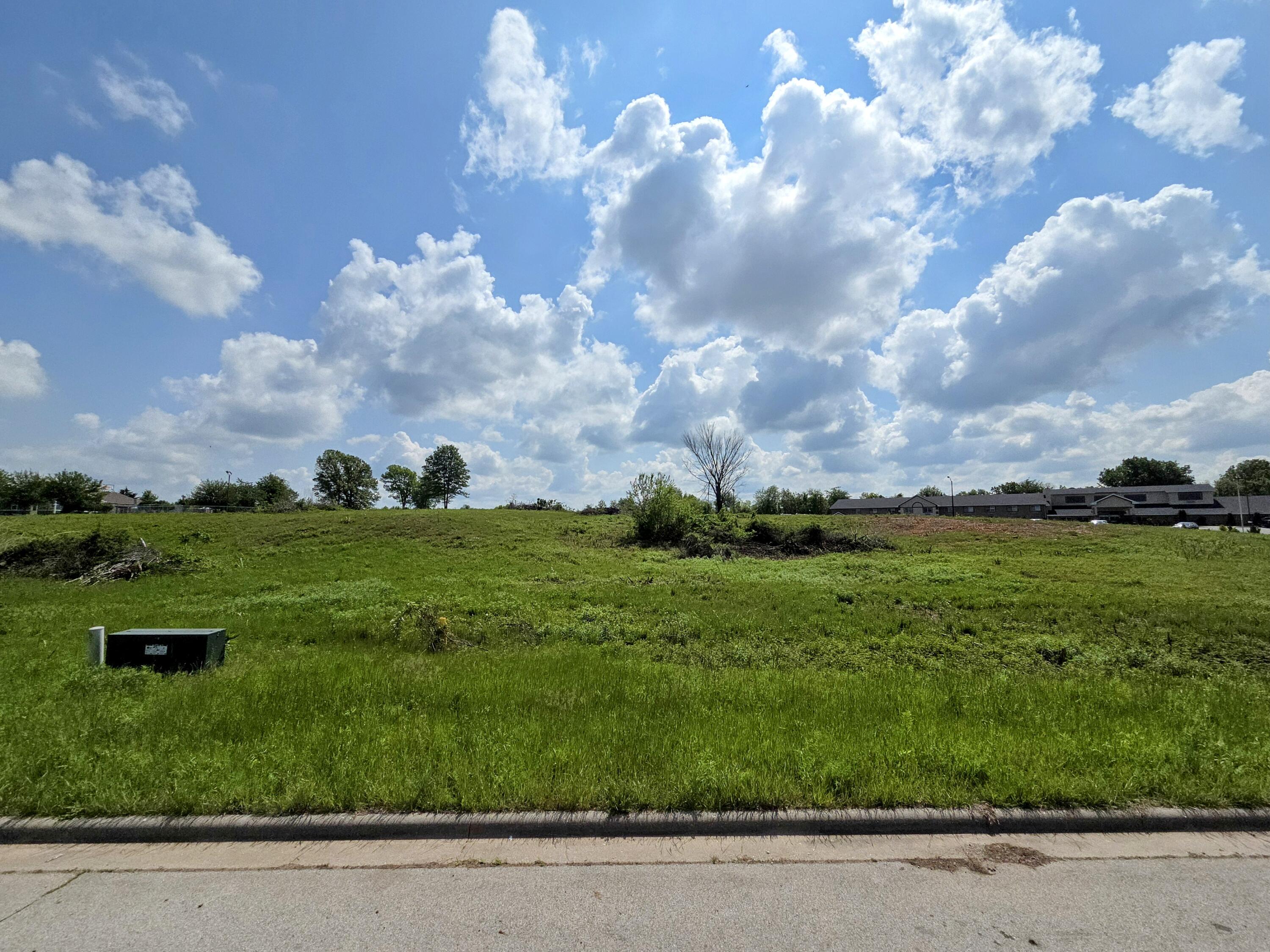 Photo 5 - Land for sale – 960 N Lindsey Avenue  Republic, MO