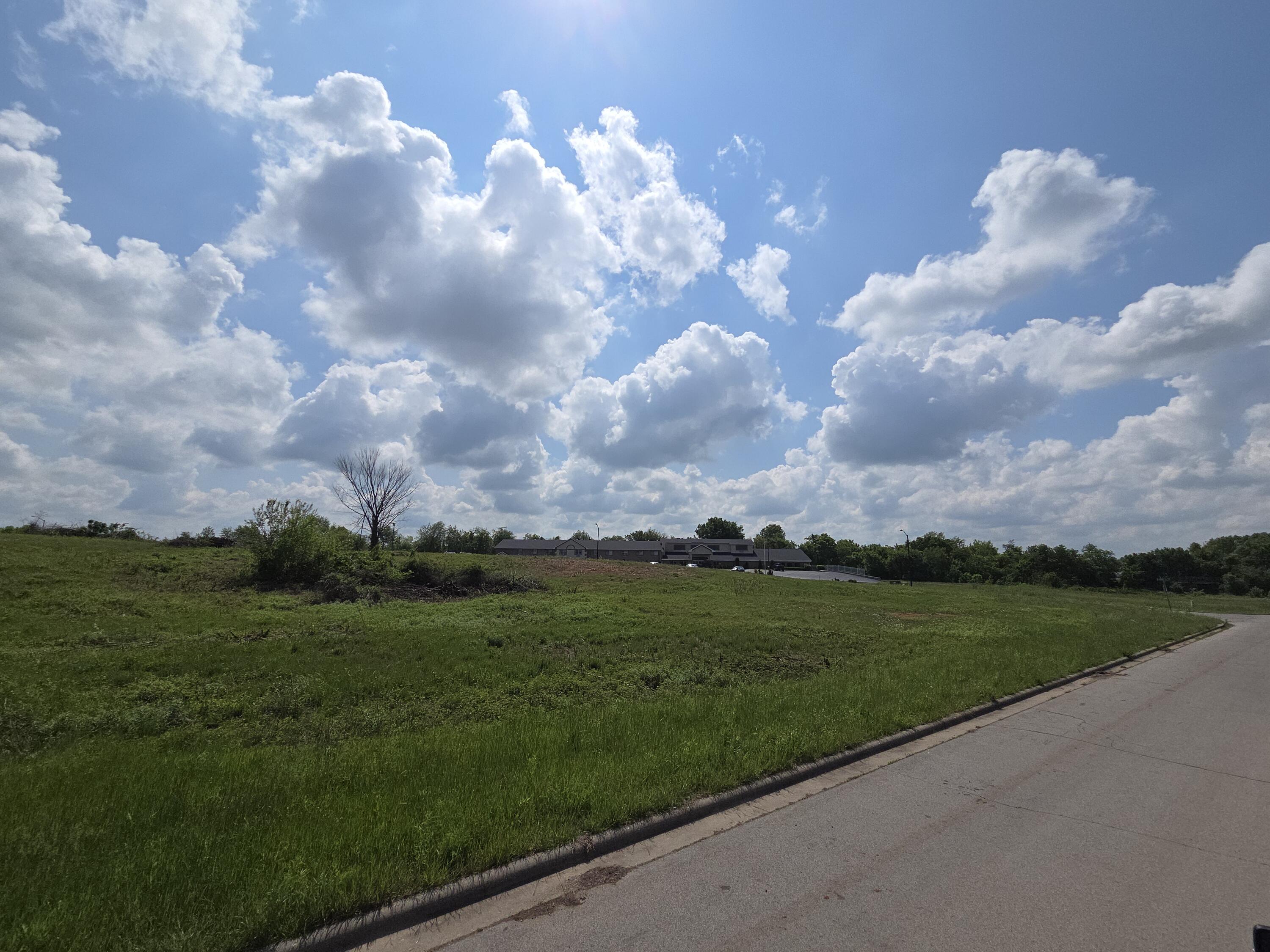 Photo 6 - Land for sale – 960 N Lindsey Avenue  Republic, MO