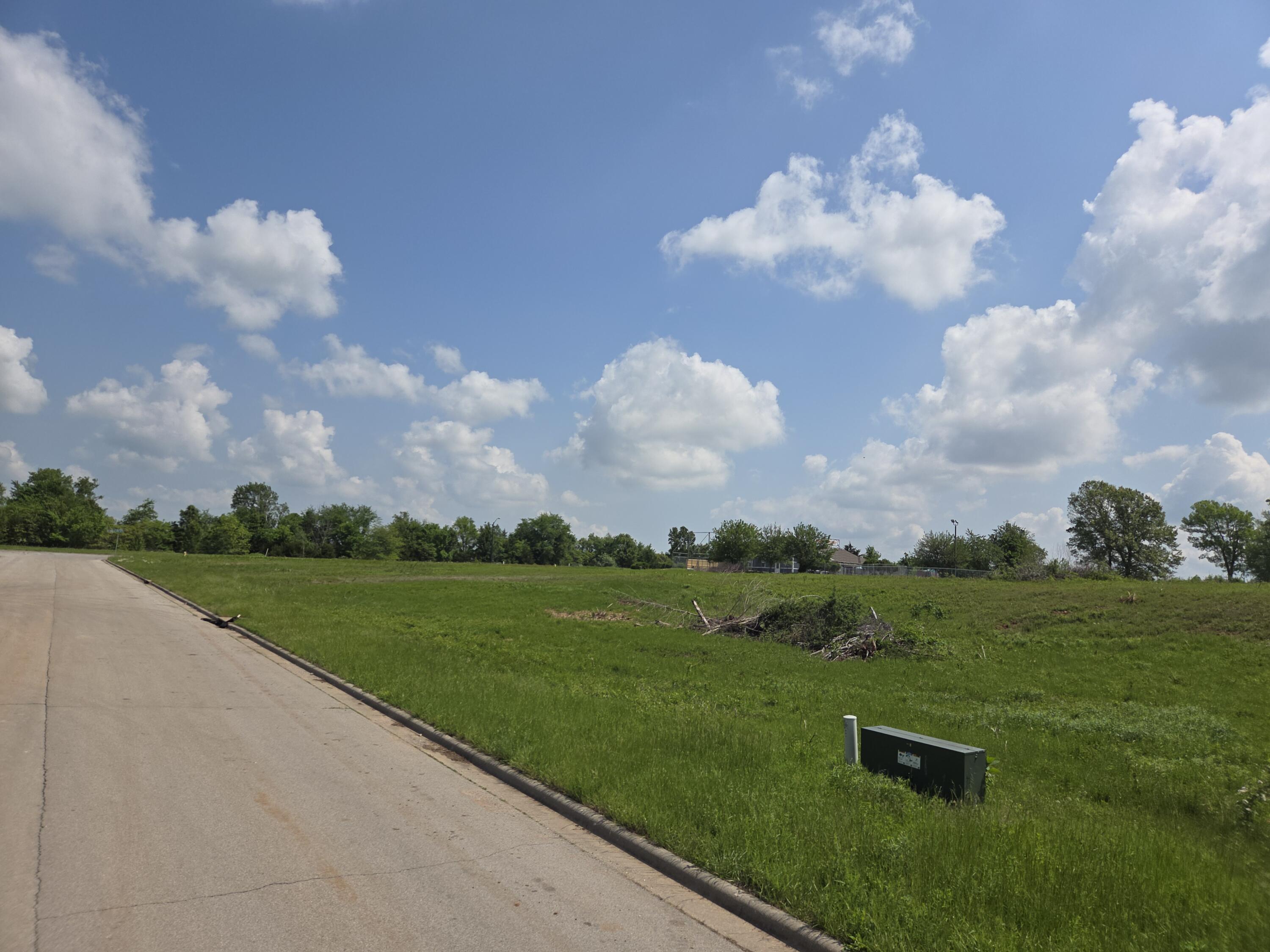 Photo 4 - Land for sale – 990 N Lindsey Avenue  Republic, MO