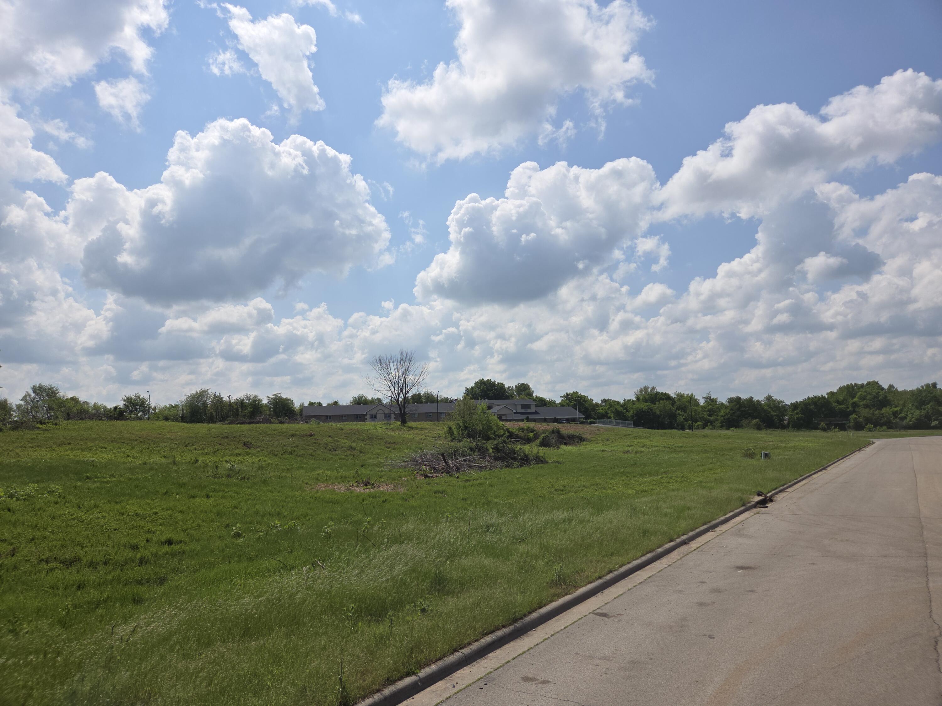 Photo 3 - Land for sale – 990 N Lindsey Avenue  Republic, MO