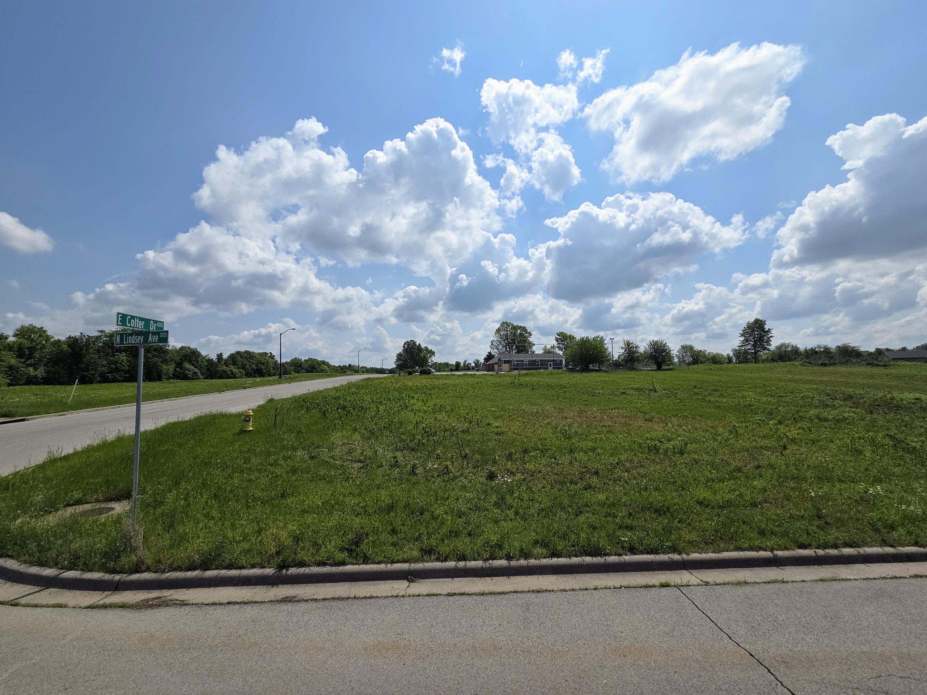 Photo 3 - Land for sale – 806 E Colter Drive  Republic, MO
