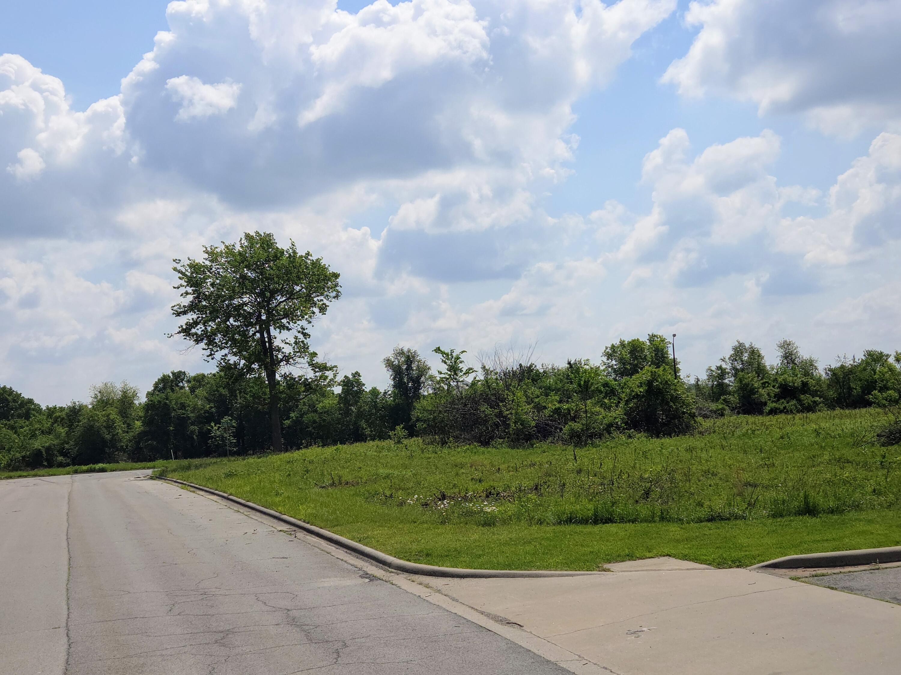 Photo 5 - Land for sale – 850 E Colter Drive  Republic, MO