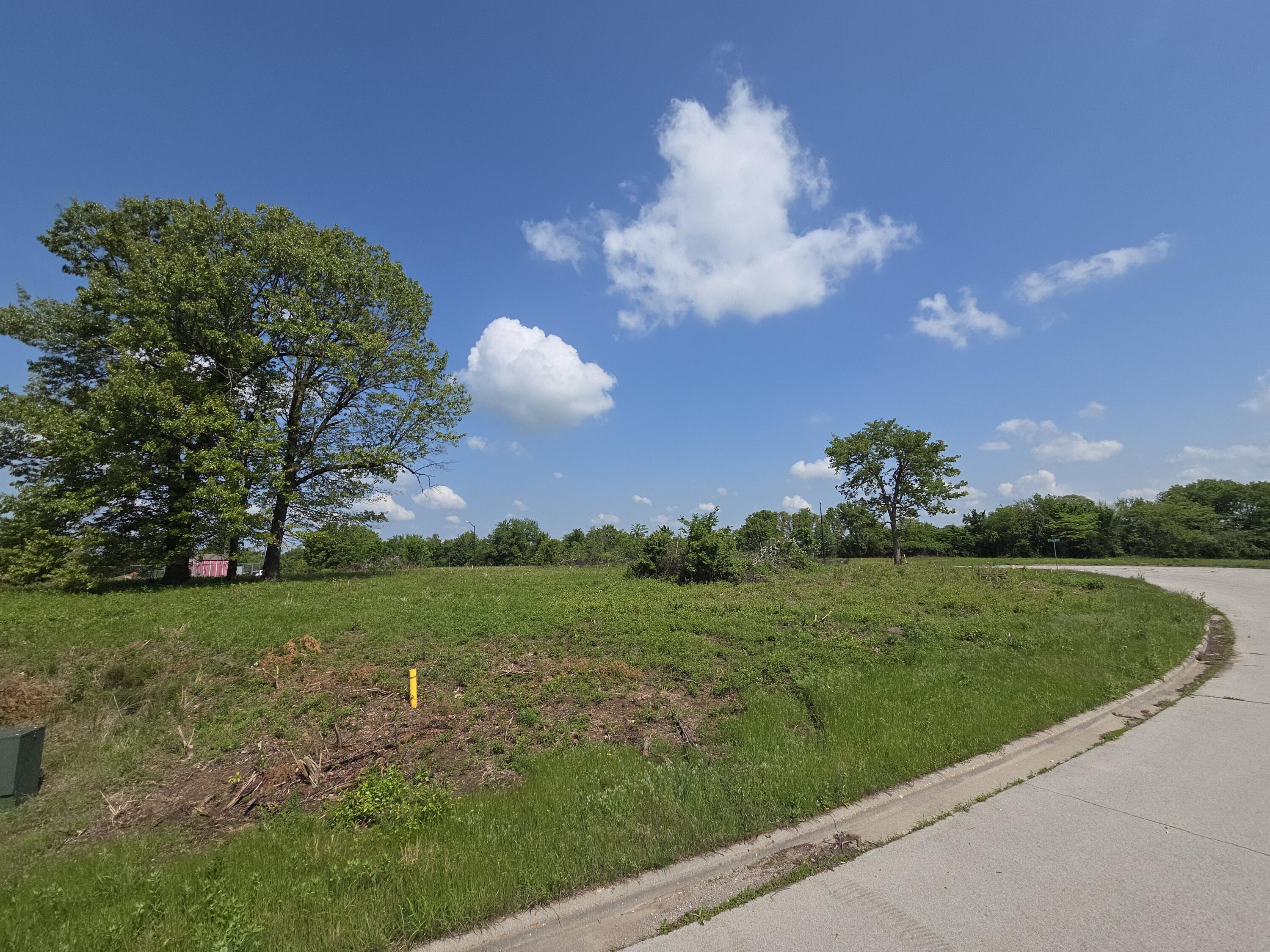 Photo 2 - Land for sale – 850 E Colter Drive  Republic, MO
