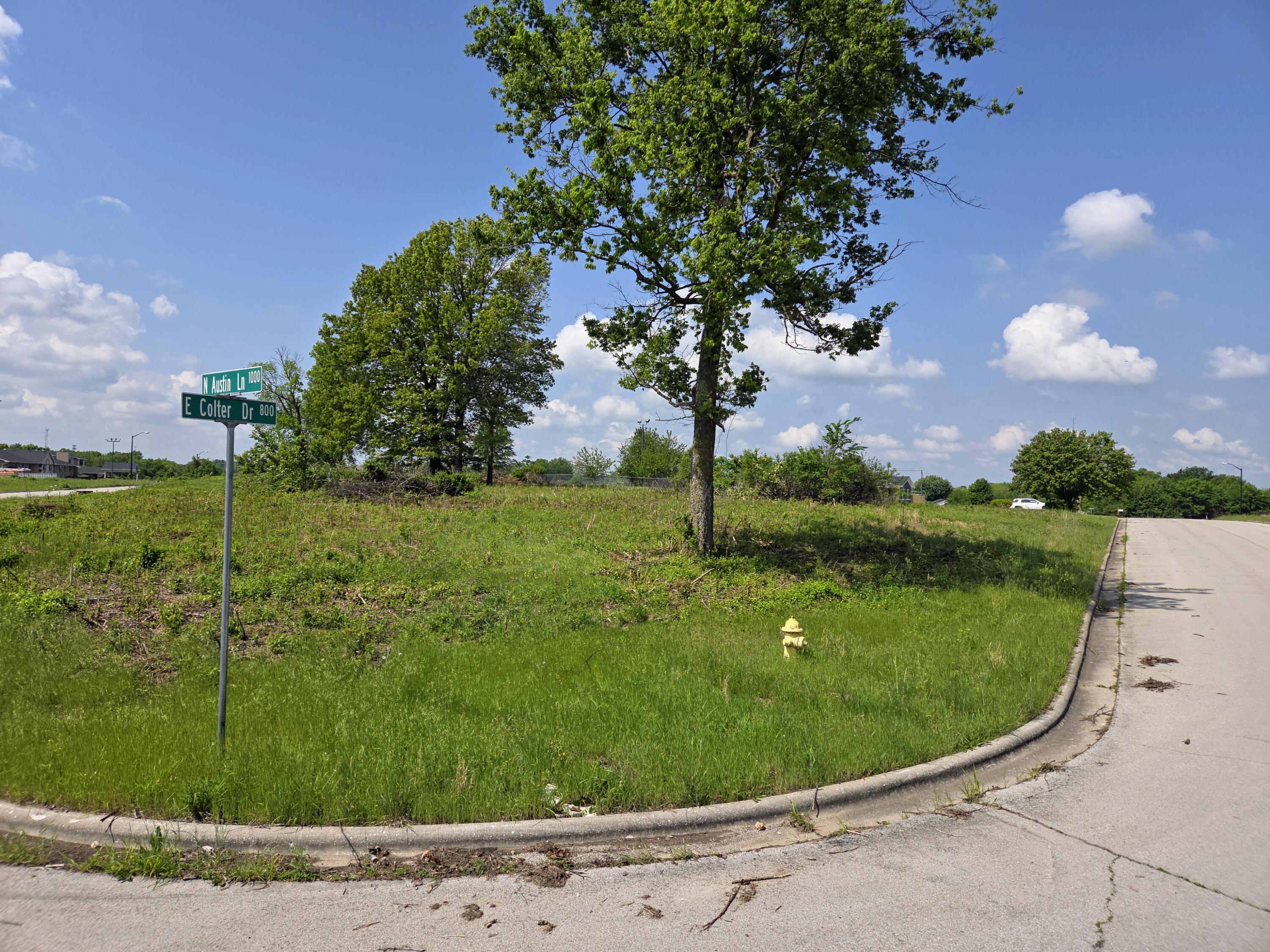 Photo 3 - Land for sale – 850 E Colter Drive  Republic, MO