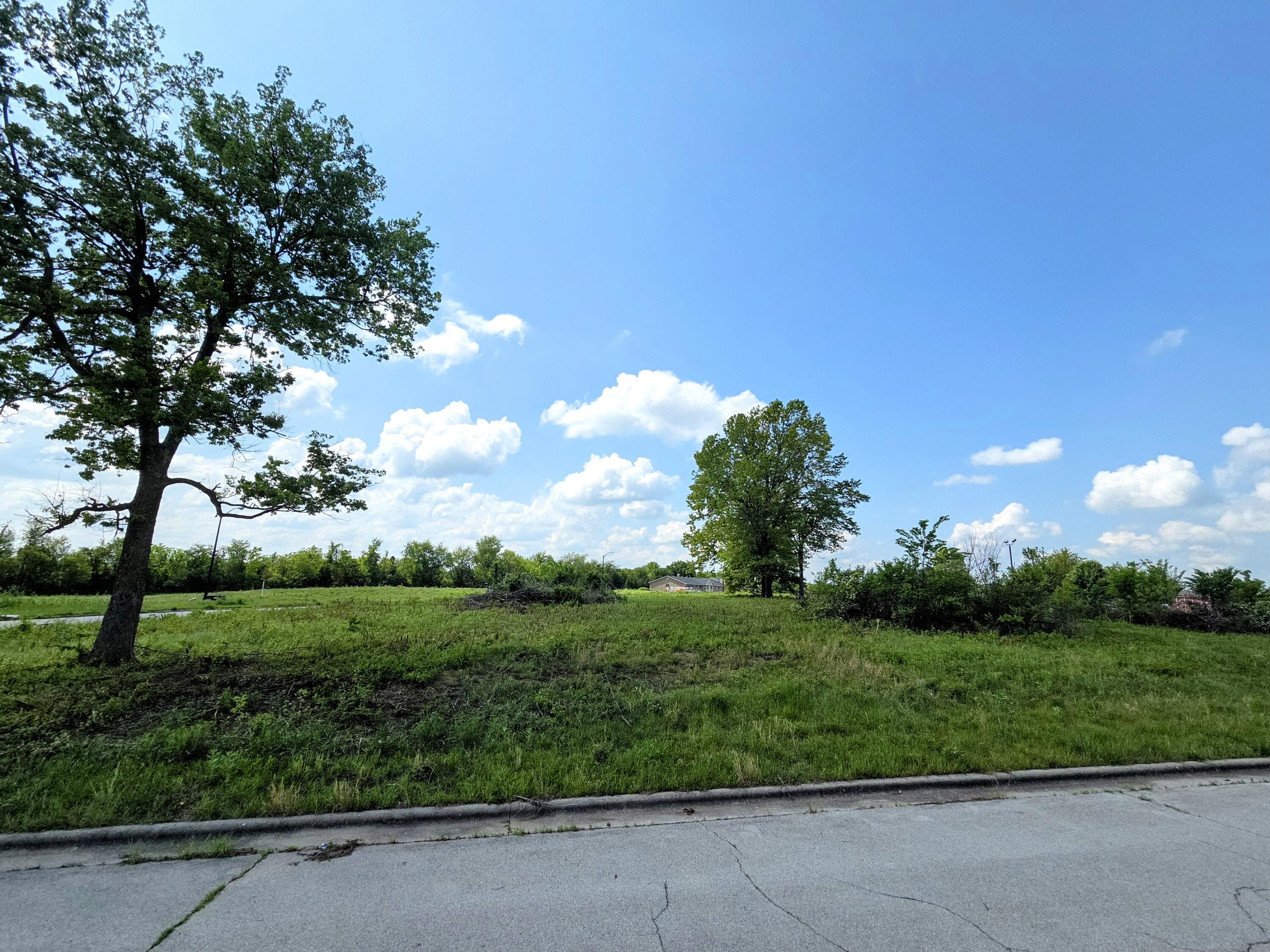 Photo 4 - Land for sale – 850 E Colter Drive  Republic, MO