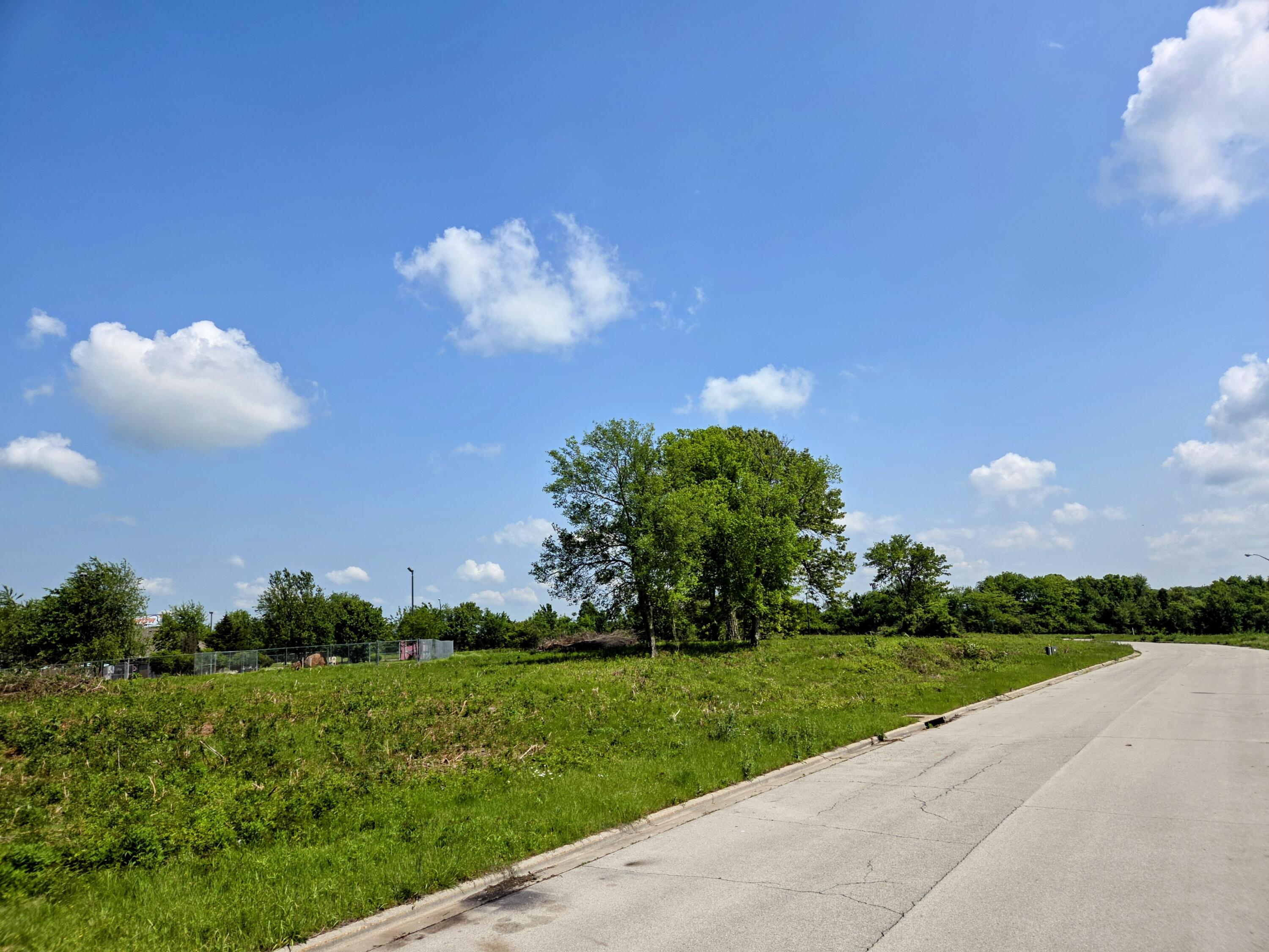 Photo 4 - Land for sale – 969 N Austin Lane  Republic, MO
