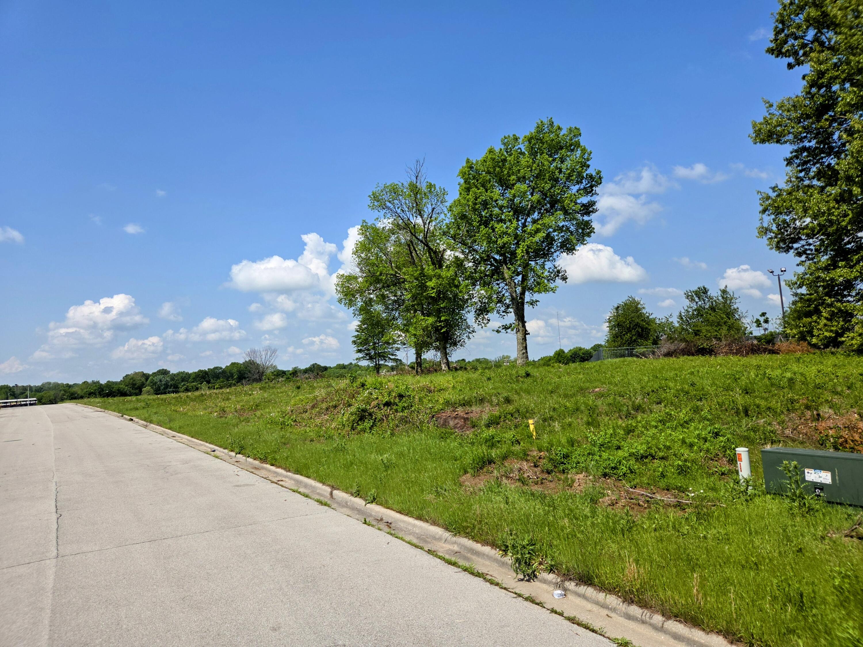 Photo 5 - Land for sale – 969 N Austin Lane  Republic, MO