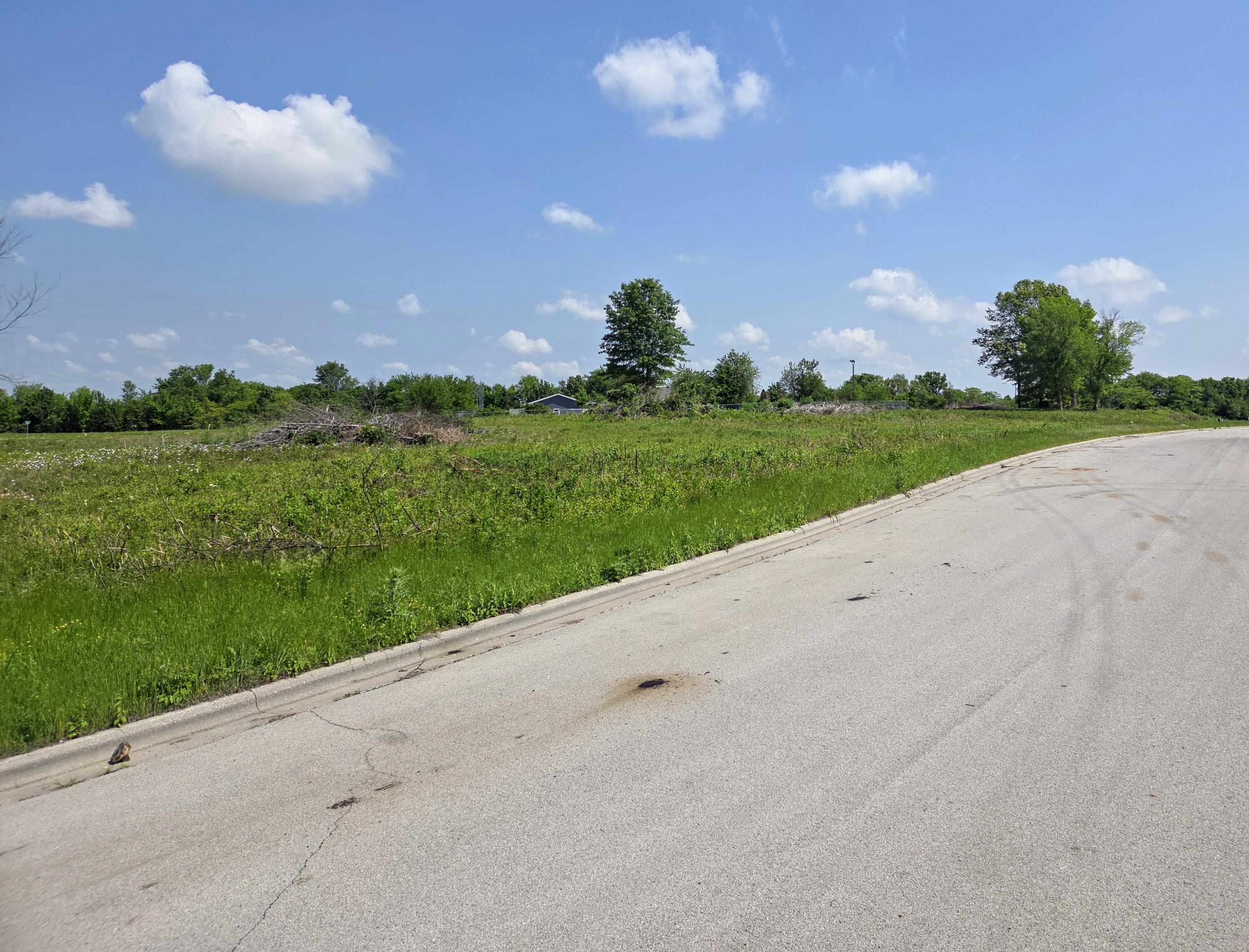 Photo 2 - Land for sale – 969 N Austin Lane  Republic, MO