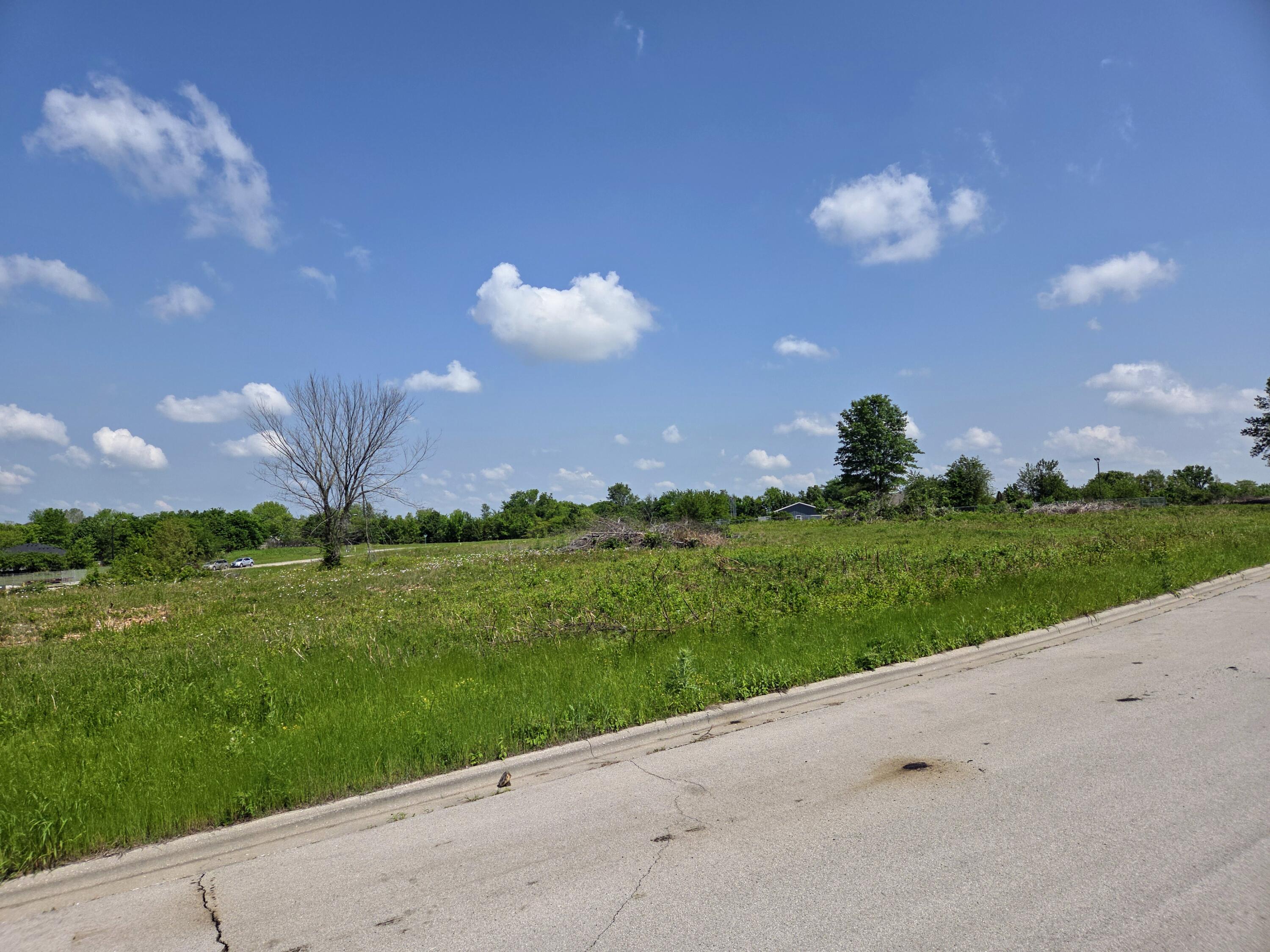 Photo 3 - Land for sale – 969 N Austin Lane  Republic, MO