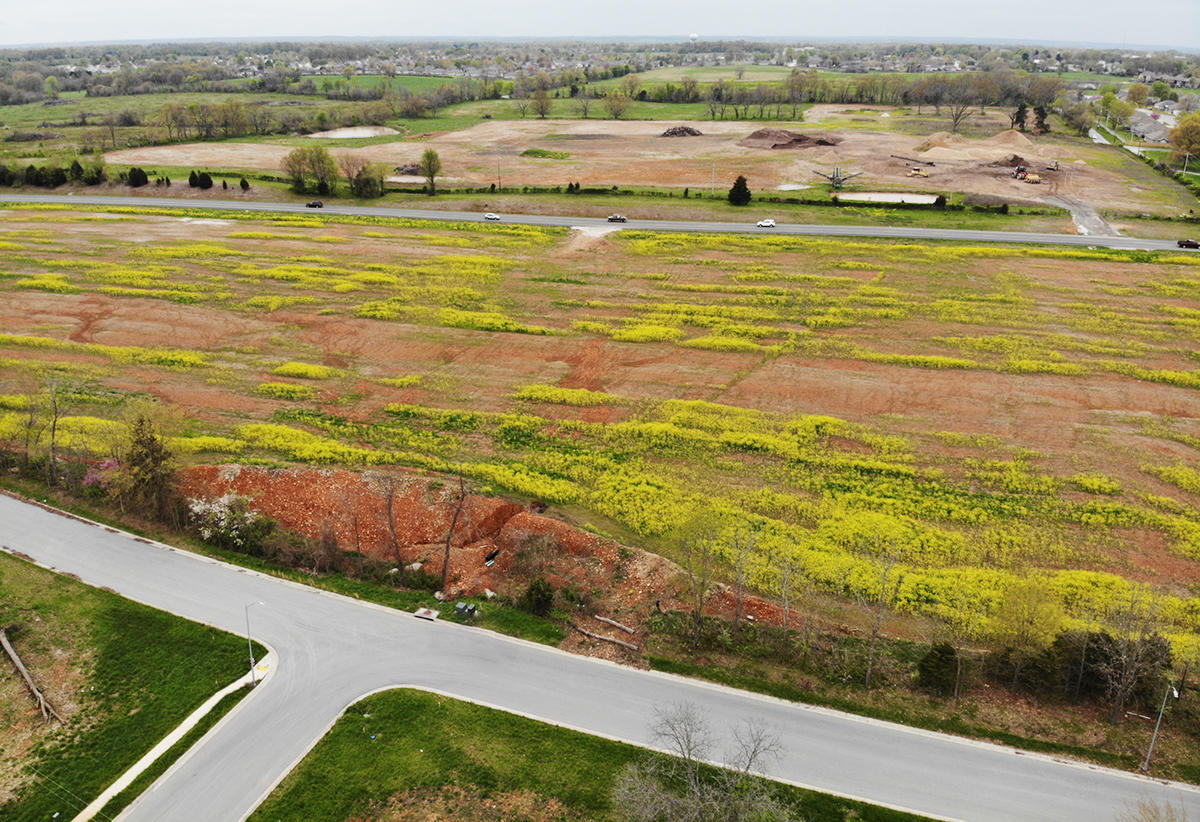 Photo 3 - Land for sale – 000 (Tbd)  Highway 160 (14.8 Acres) Street  Nixa, MO