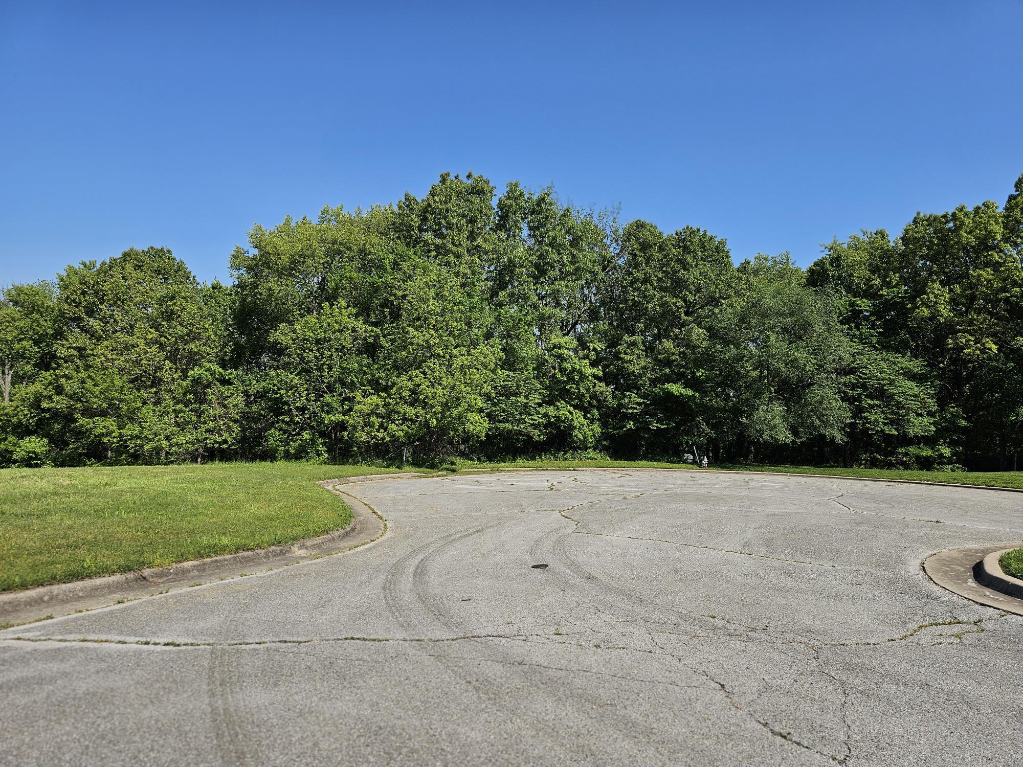 Photo 2 - Land for sale – Lot 5  Fox Haven Drive  Mt Vernon, MO