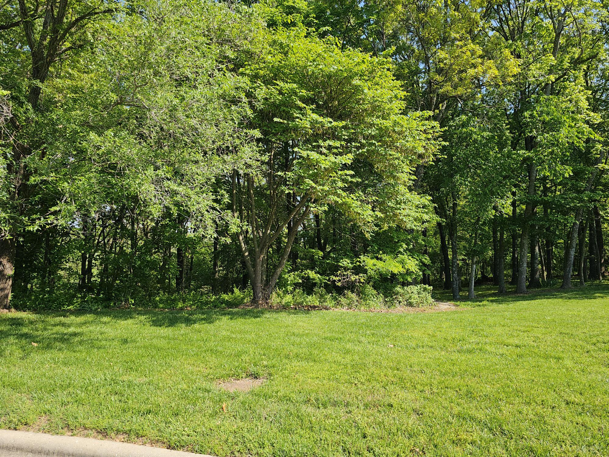 Land for sale – Lot 5  Fox Haven Drive  Mt Vernon, MO
