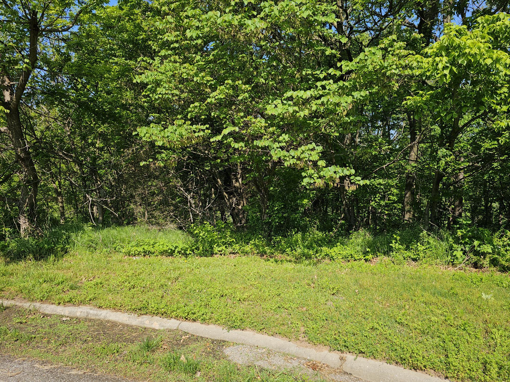 Photo 3 - Land for sale – Lot 6  Fox Haven Drive  Mt Vernon, MO