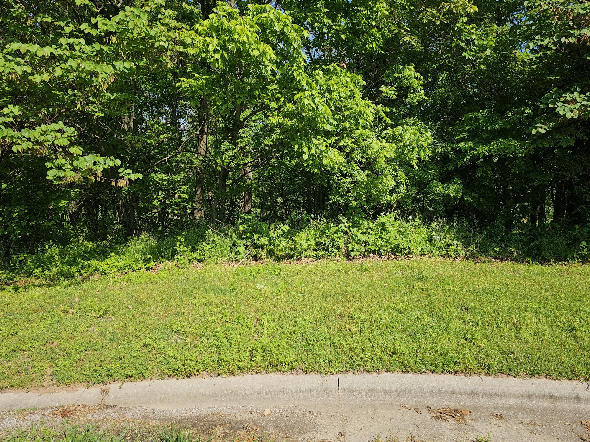 Photo 2 - Land for sale – Lot 6  Fox Haven Drive  Mt Vernon, MO