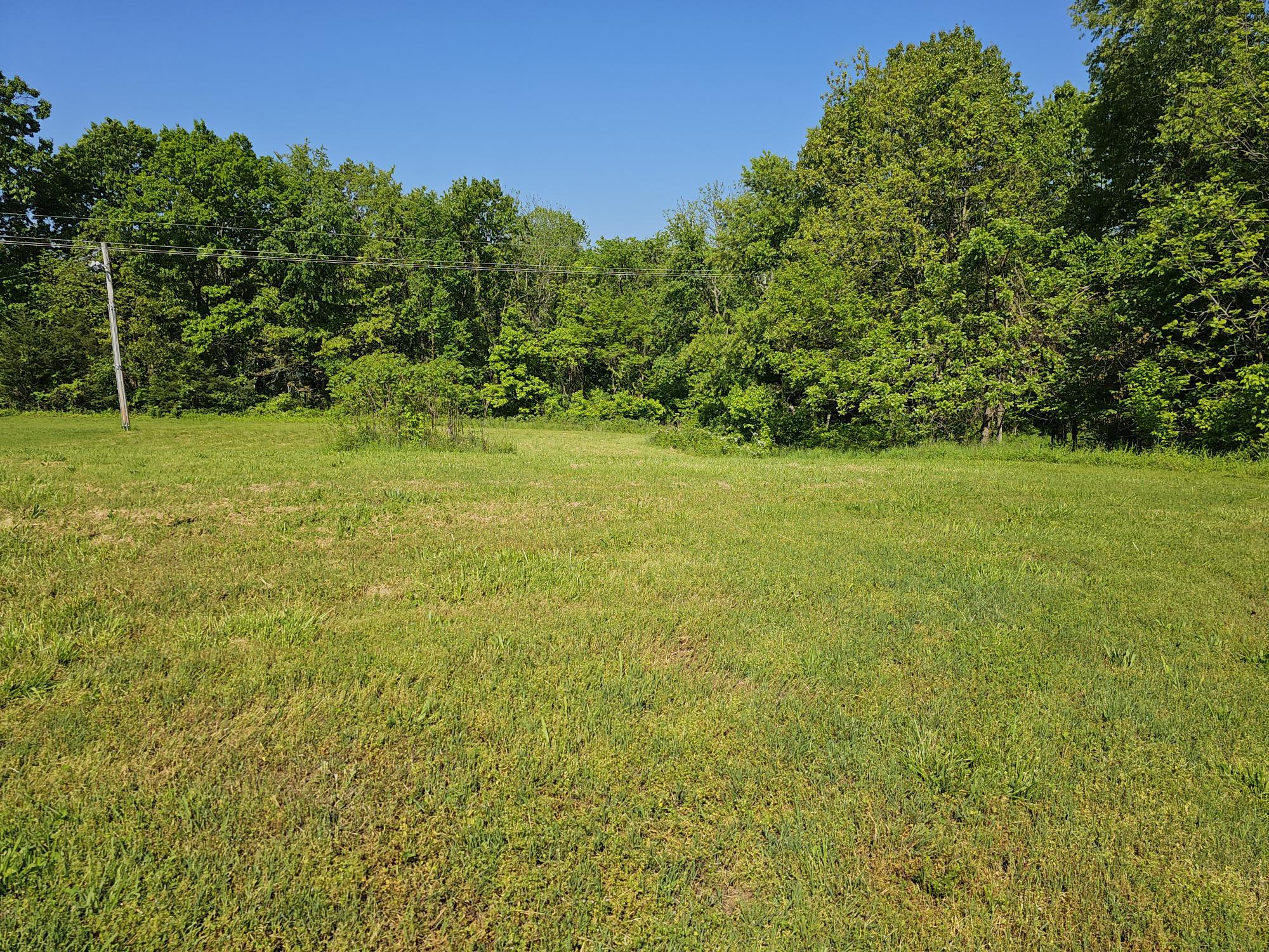 Photo 5 - Land for sale – Lot 7  Fox Haven Drive  Mt Vernon, MO