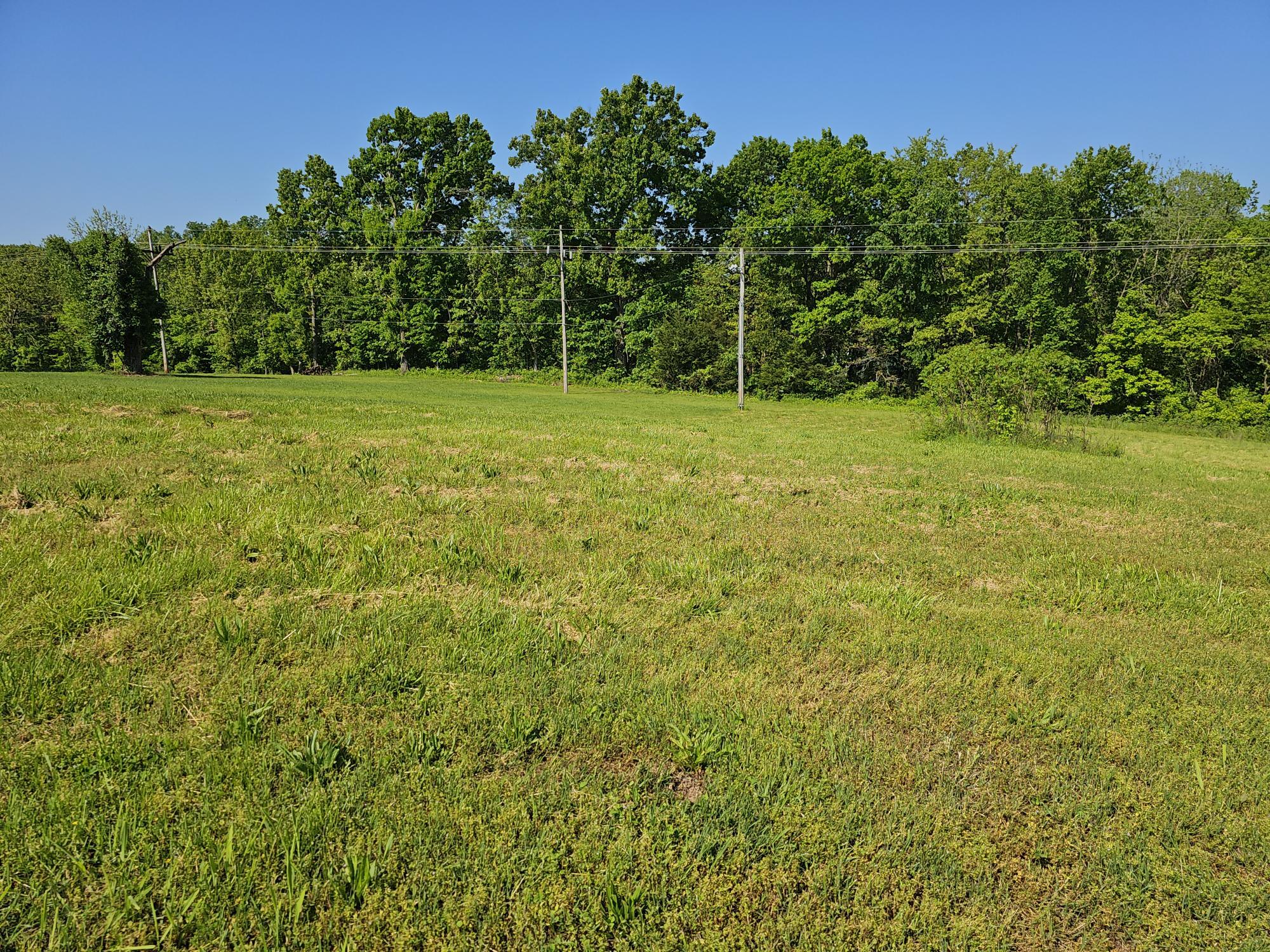 Photo 3 - Land for sale – Lot 7  Fox Haven Drive  Mt Vernon, MO