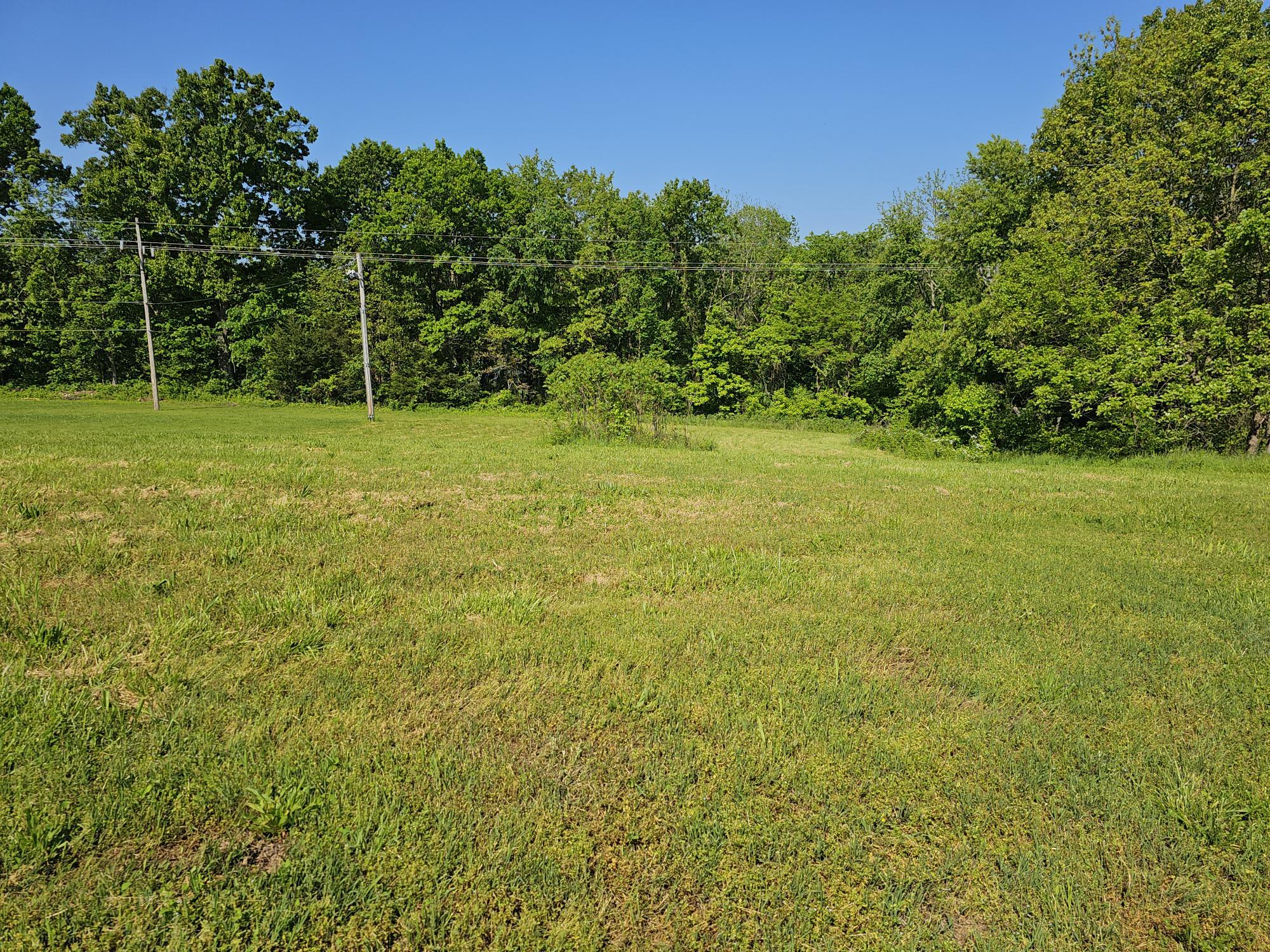 Land for sale – Lot 7 Fox Haven Drive Mt Vernon, MO