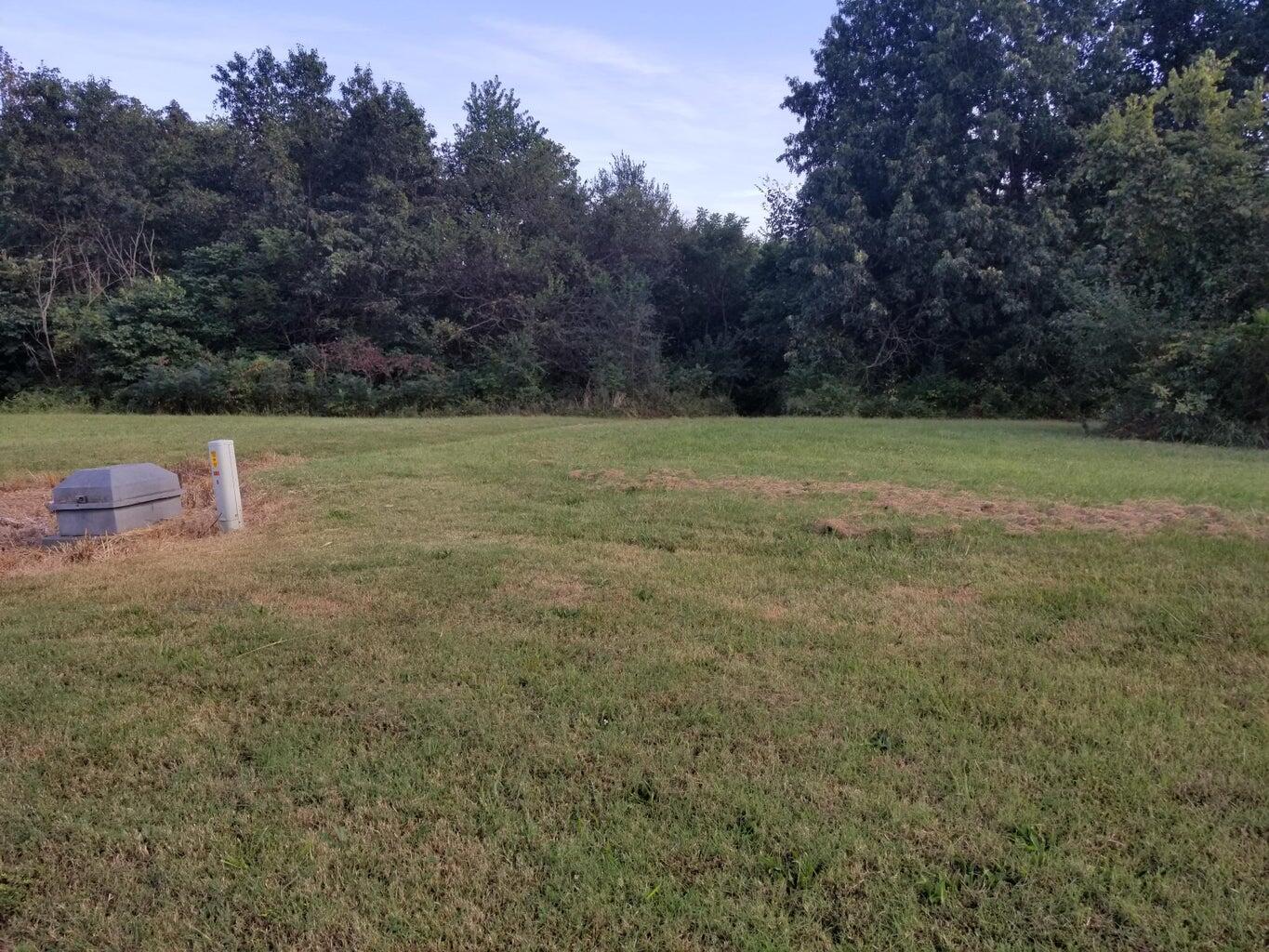 Photo 3 - Land for sale – Lot 10  Fox Haven Drive  Mt Vernon, MO