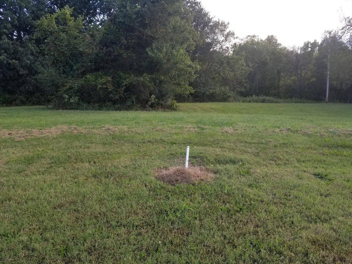 Photo 2 - Land for sale – Lot 10  Fox Haven Drive  Mt Vernon, MO
