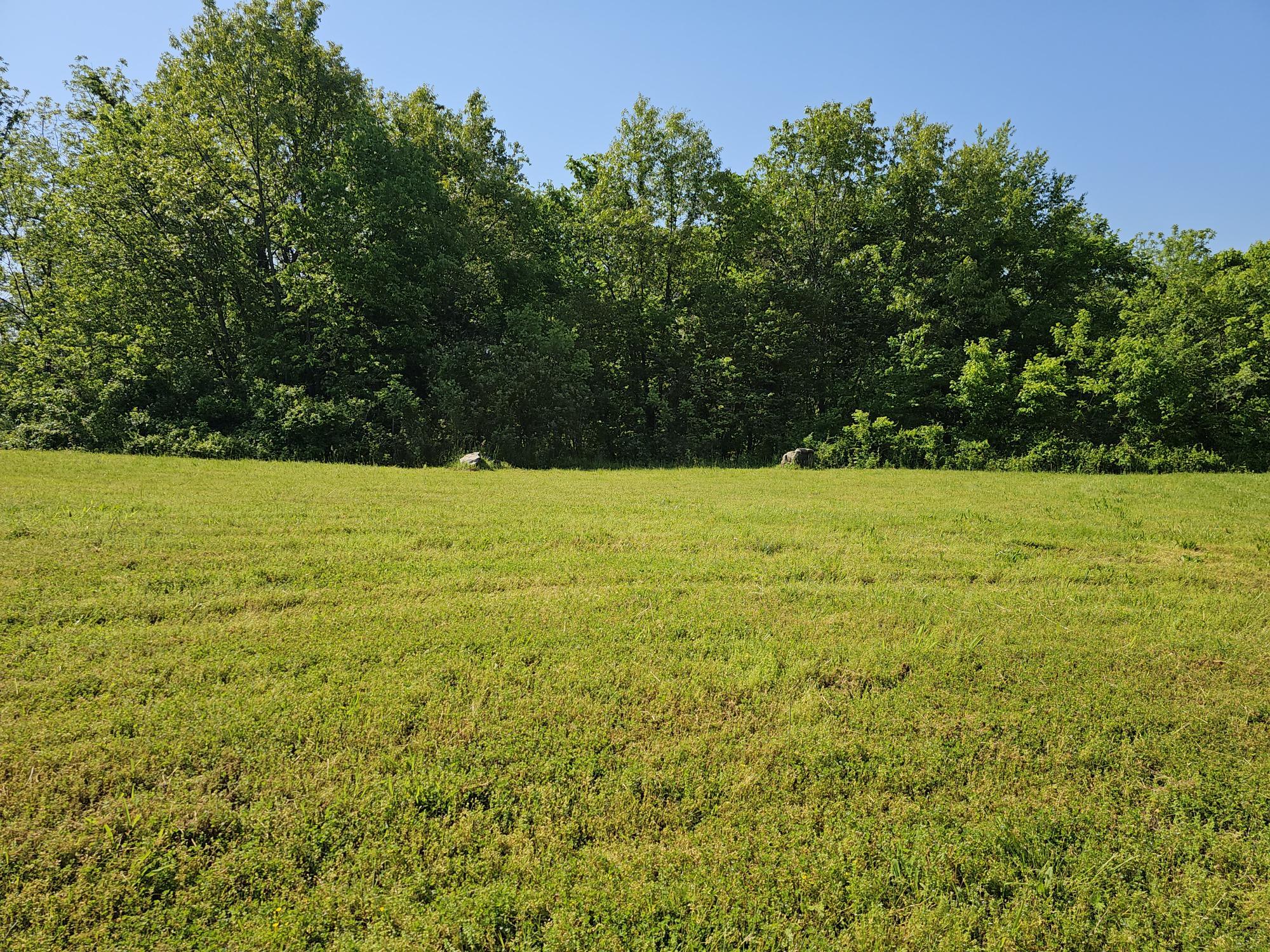 Land for sale – Lot 10 Fox Haven Drive Mt Vernon, MO