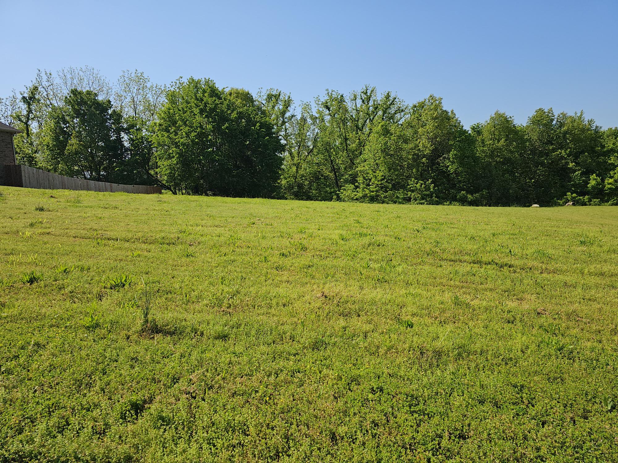 Photo 3 - Land for sale – Lot 11  Fox Haven Drive  Mt Vernon, MO