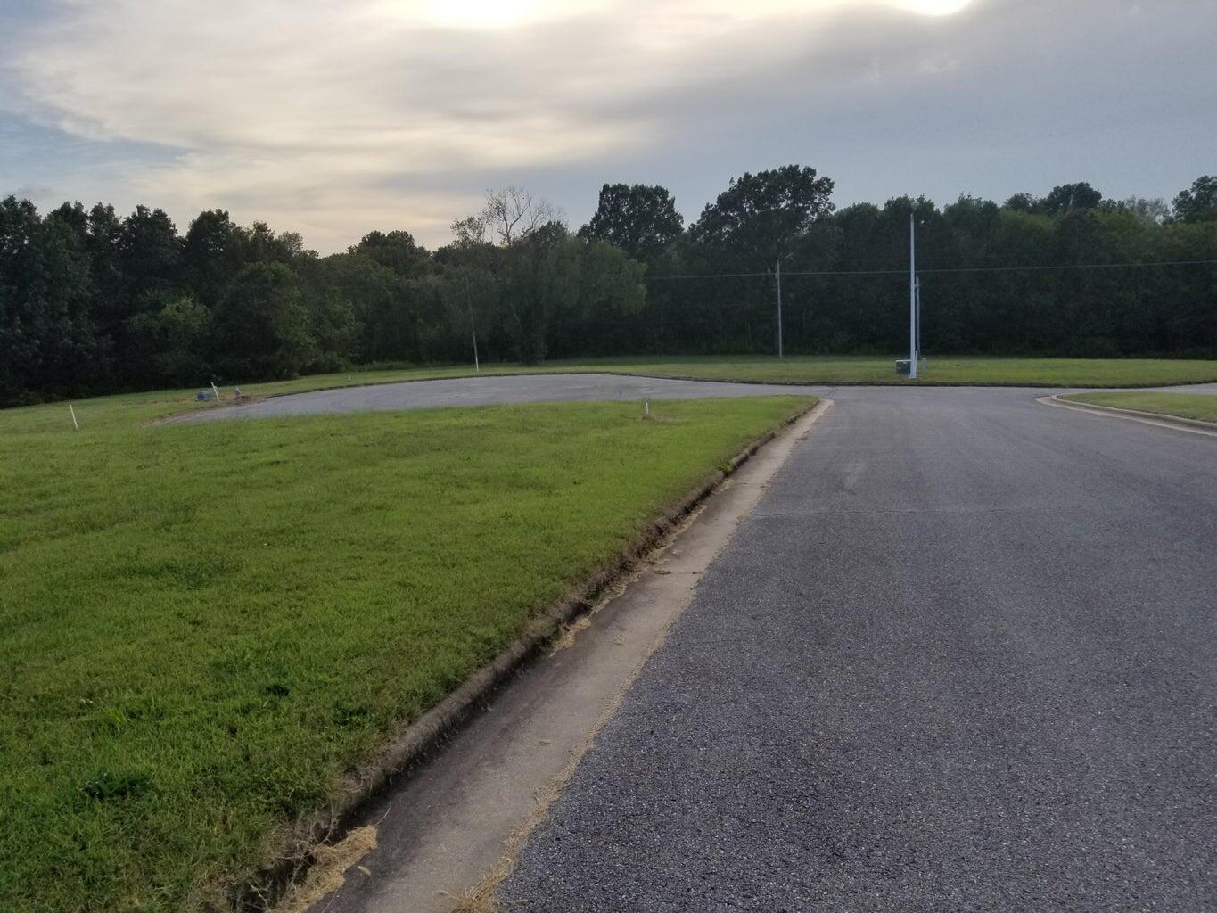 Photo 2 - Land for sale – Lot 11  Fox Haven Drive  Mt Vernon, MO
