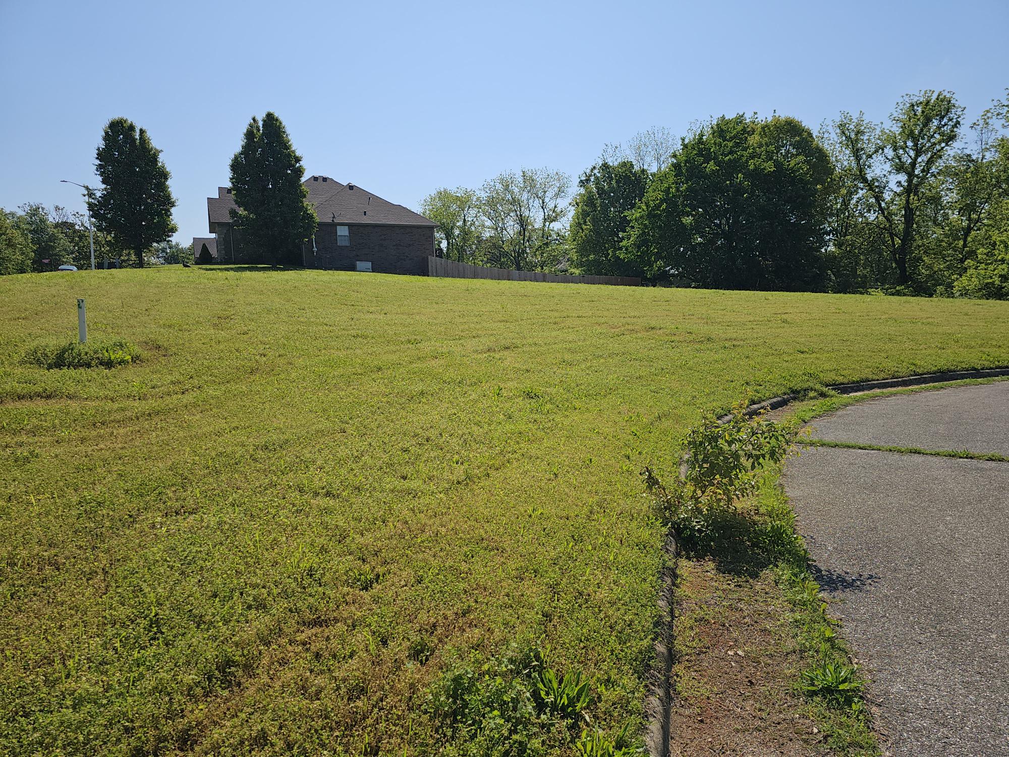 Photo 4 - Land for sale – Lot 11  Fox Haven Drive  Mt Vernon, MO